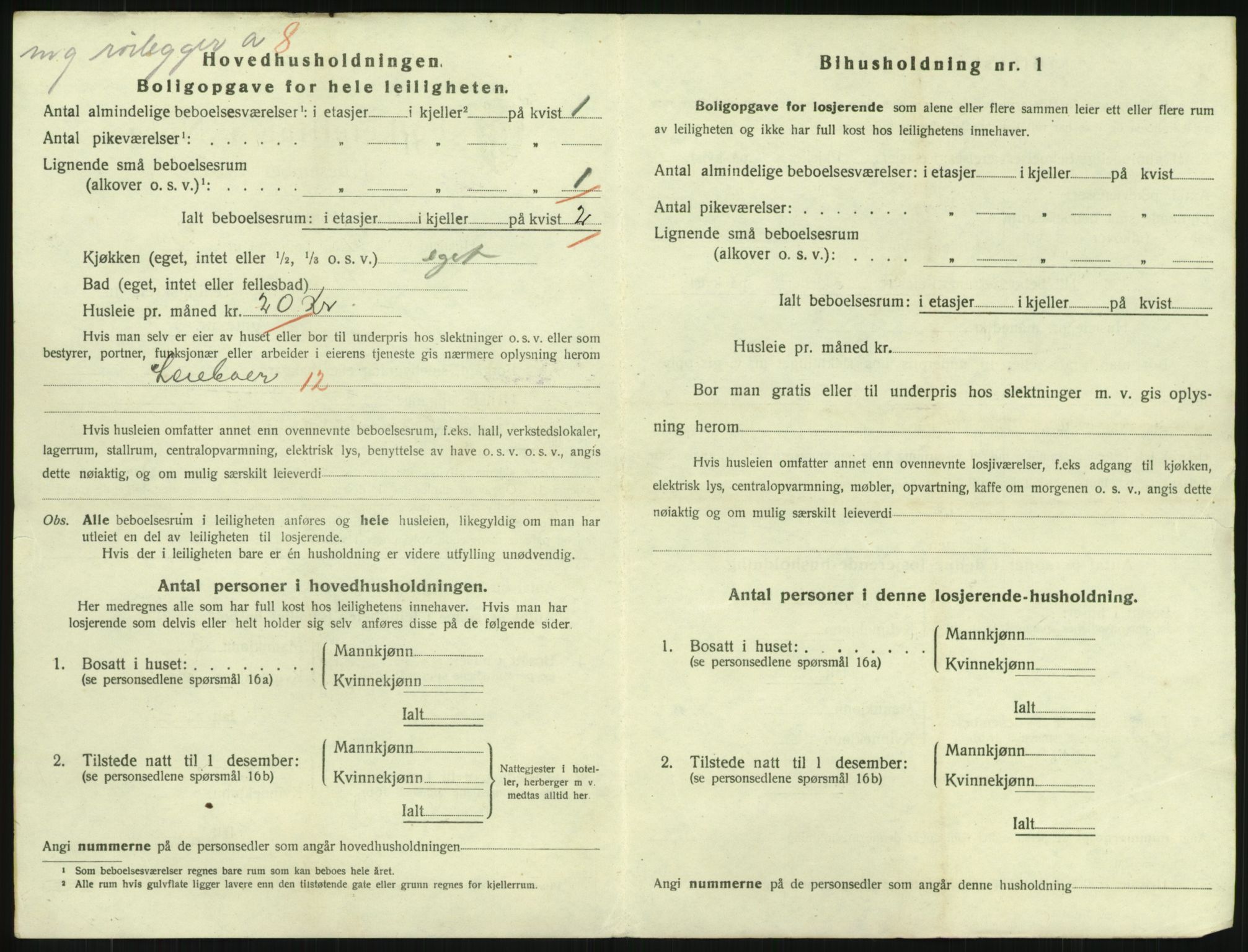 SAKO, 1920 census for Drammen, 1920, p. 11048