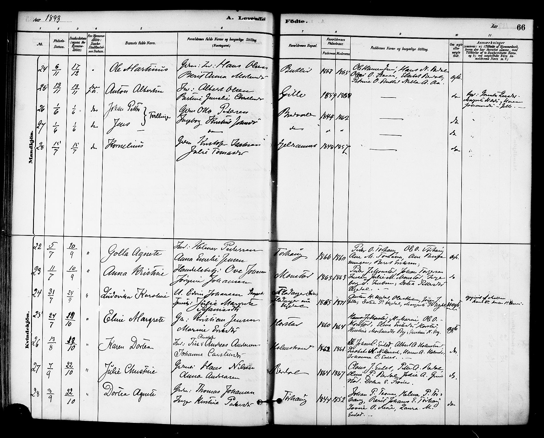 Ministerialprotokoller, klokkerbøker og fødselsregistre - Sør-Trøndelag, AV/SAT-A-1456/655/L0680: Parish register (official) no. 655A09, 1880-1894, p. 66