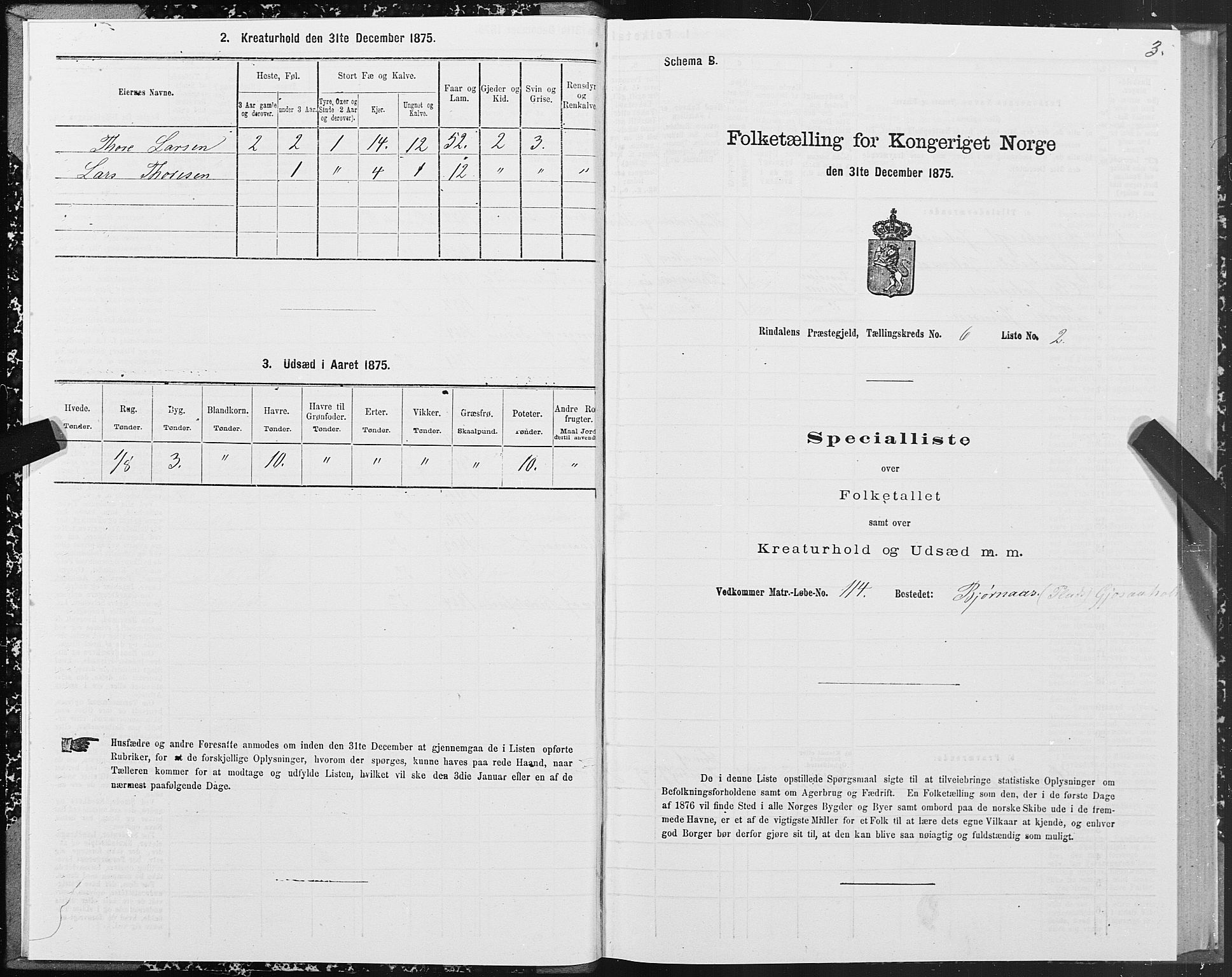 SAT, 1875 census for 1567P Rindal, 1875, p. 3003