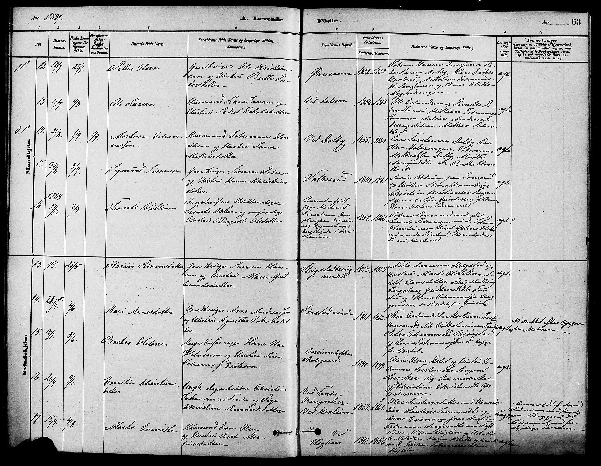 Fåberg prestekontor, SAH/PREST-086/H/Ha/Haa/L0008: Parish register (official) no. 8, 1879-1898, p. 63