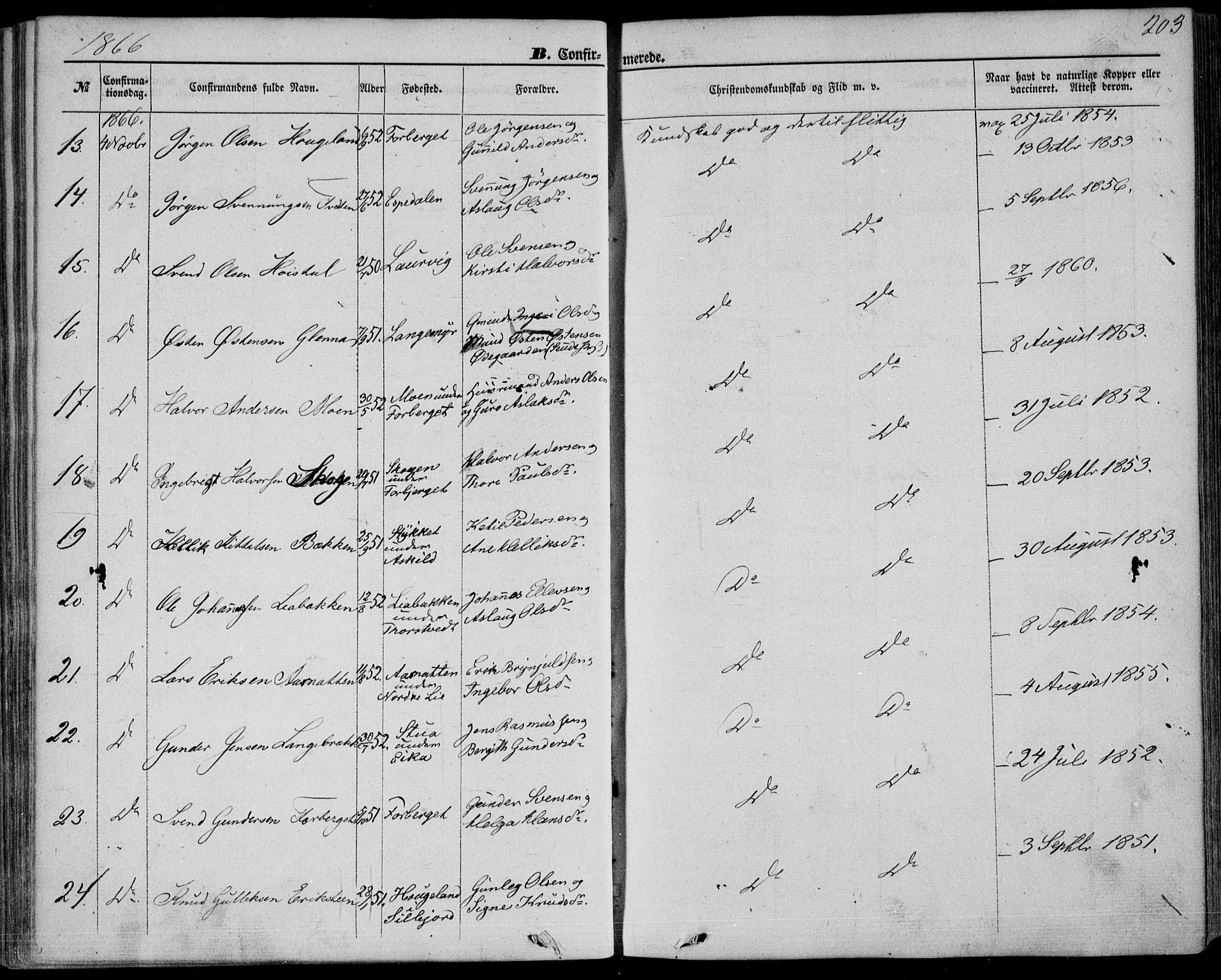 Bø kirkebøker, SAKO/A-257/F/Fa/L0009: Parish register (official) no. 9, 1862-1879, p. 203