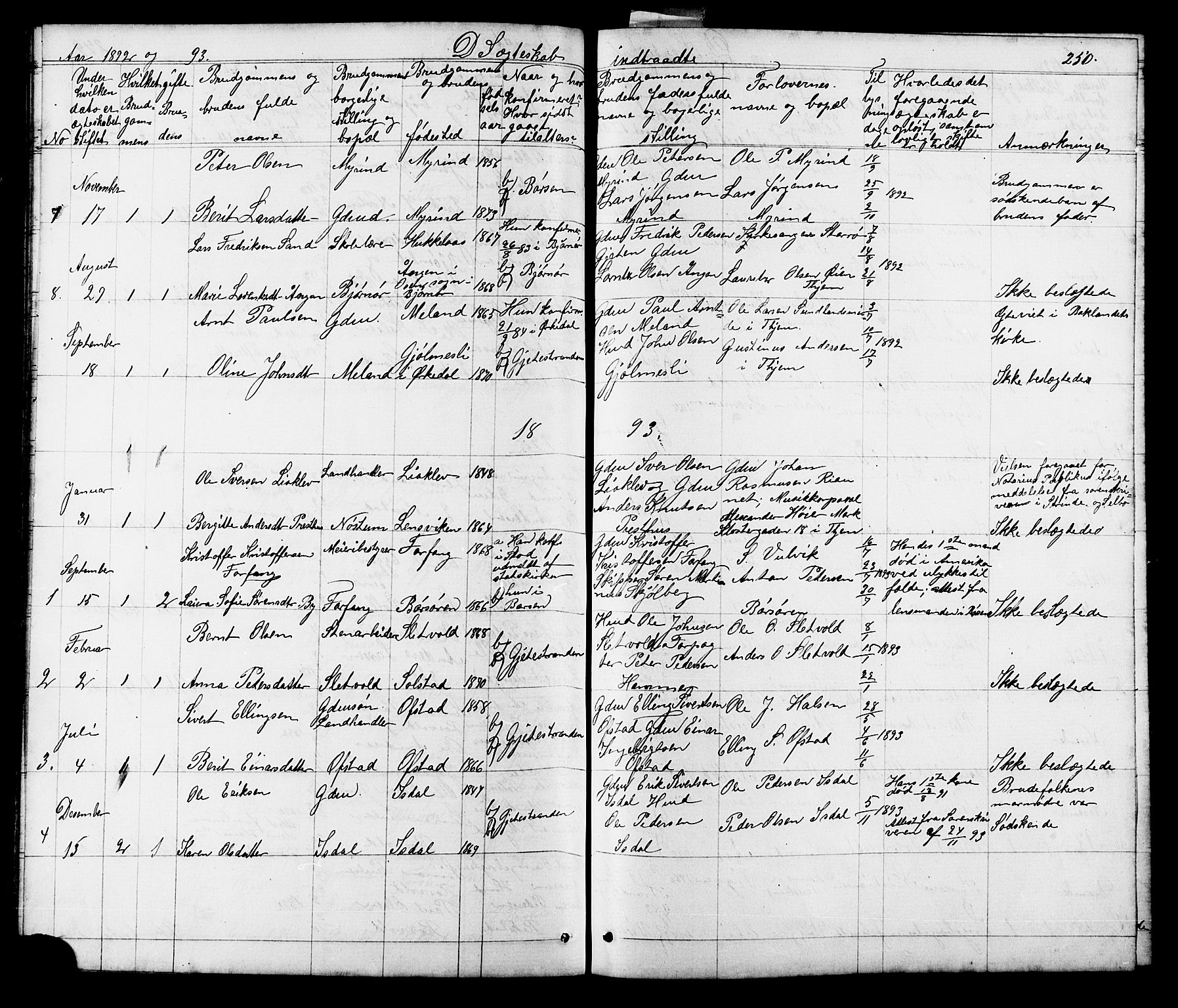 Ministerialprotokoller, klokkerbøker og fødselsregistre - Sør-Trøndelag, SAT/A-1456/665/L0777: Parish register (copy) no. 665C02, 1867-1915, p. 250
