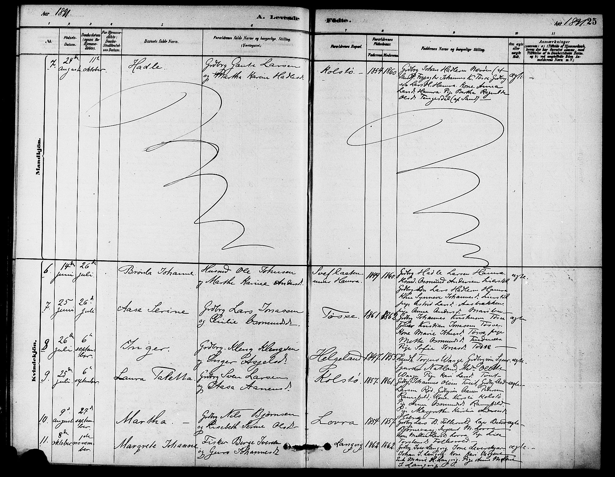 Jelsa sokneprestkontor, AV/SAST-A-101842/01/IV: Parish register (official) no. A 9, 1878-1898, p. 25