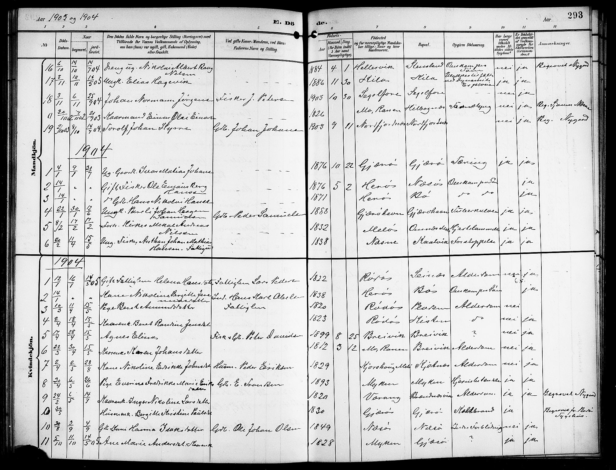 Ministerialprotokoller, klokkerbøker og fødselsregistre - Nordland, SAT/A-1459/841/L0621: Parish register (copy) no. 841C05, 1897-1923, p. 293