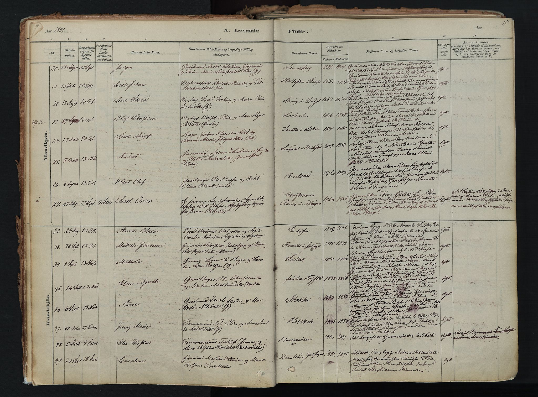 Hof kirkebøker, SAKO/A-64/F/Fa/L0007: Parish register (official) no. I 7, 1878-1940, p. 15