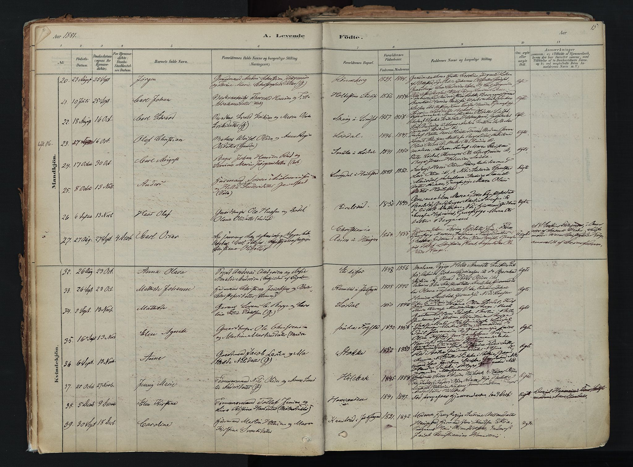 Hof kirkebøker, AV/SAKO-A-64/F/Fa/L0007: Parish register (official) no. I 7, 1878-1940, p. 15