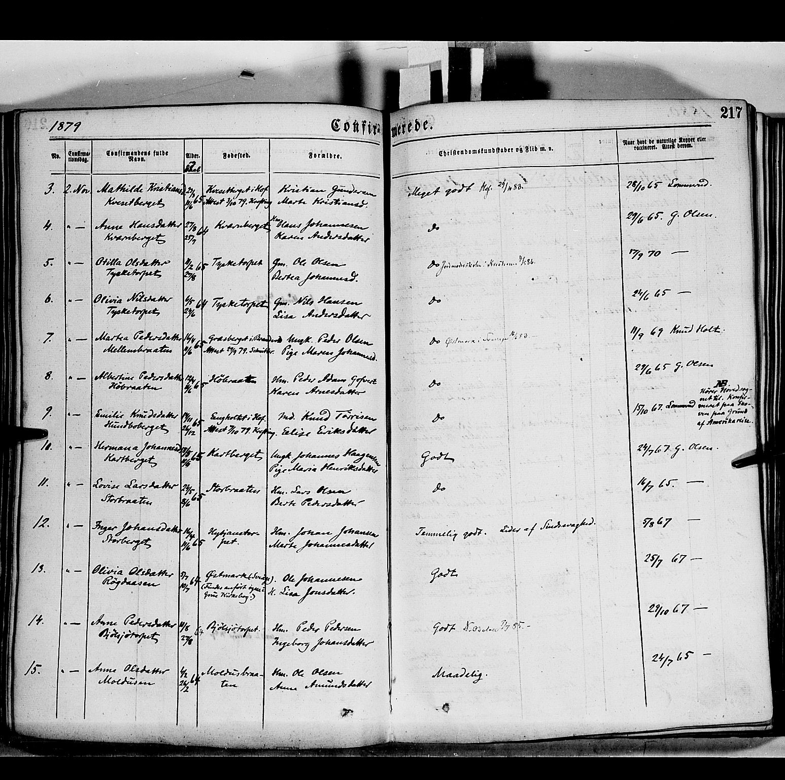 Grue prestekontor, AV/SAH-PREST-036/H/Ha/Haa/L0011: Parish register (official) no. 11, 1873-1880, p. 217