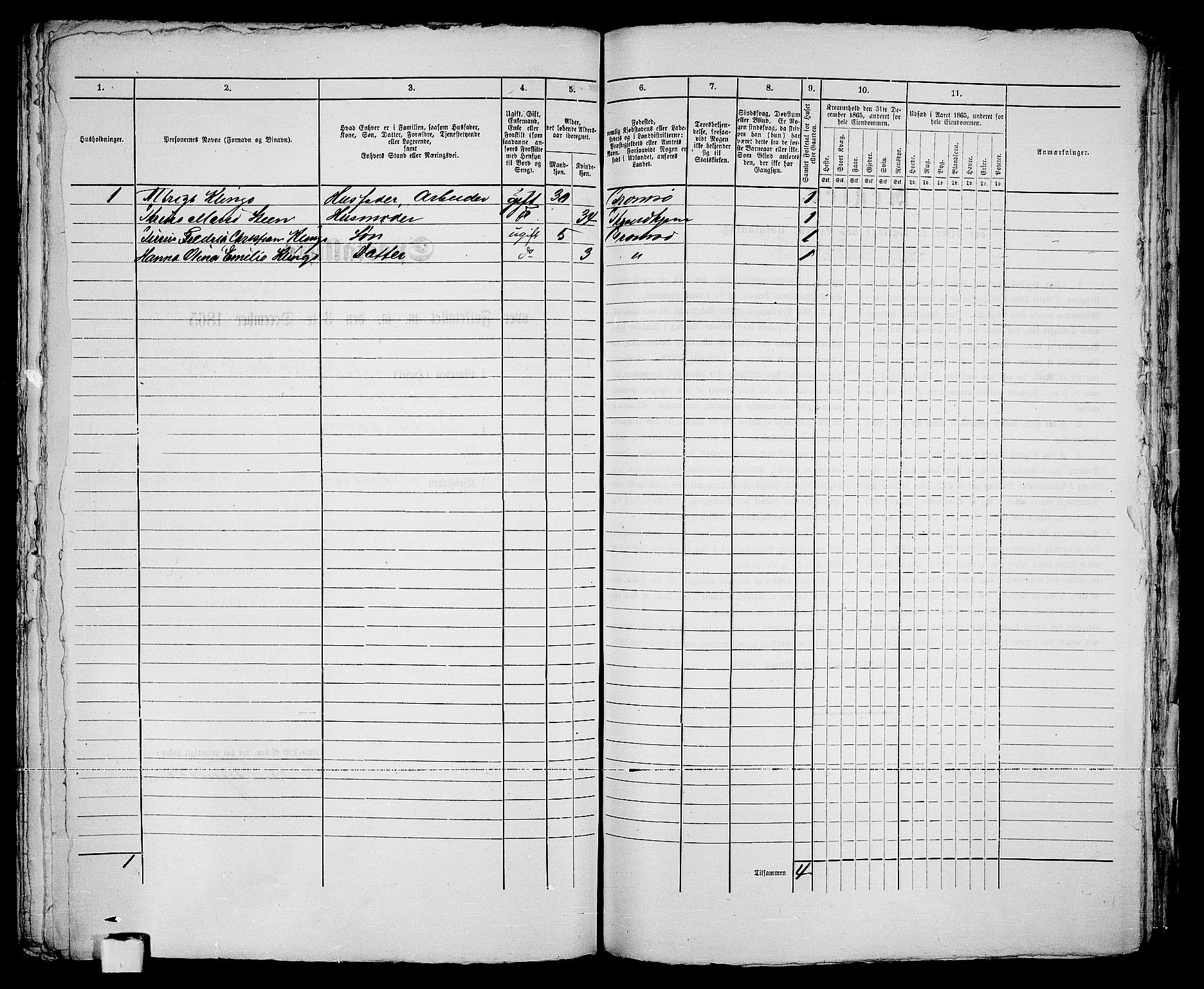 RA, 1865 census for Tromsø, 1865, p. 294