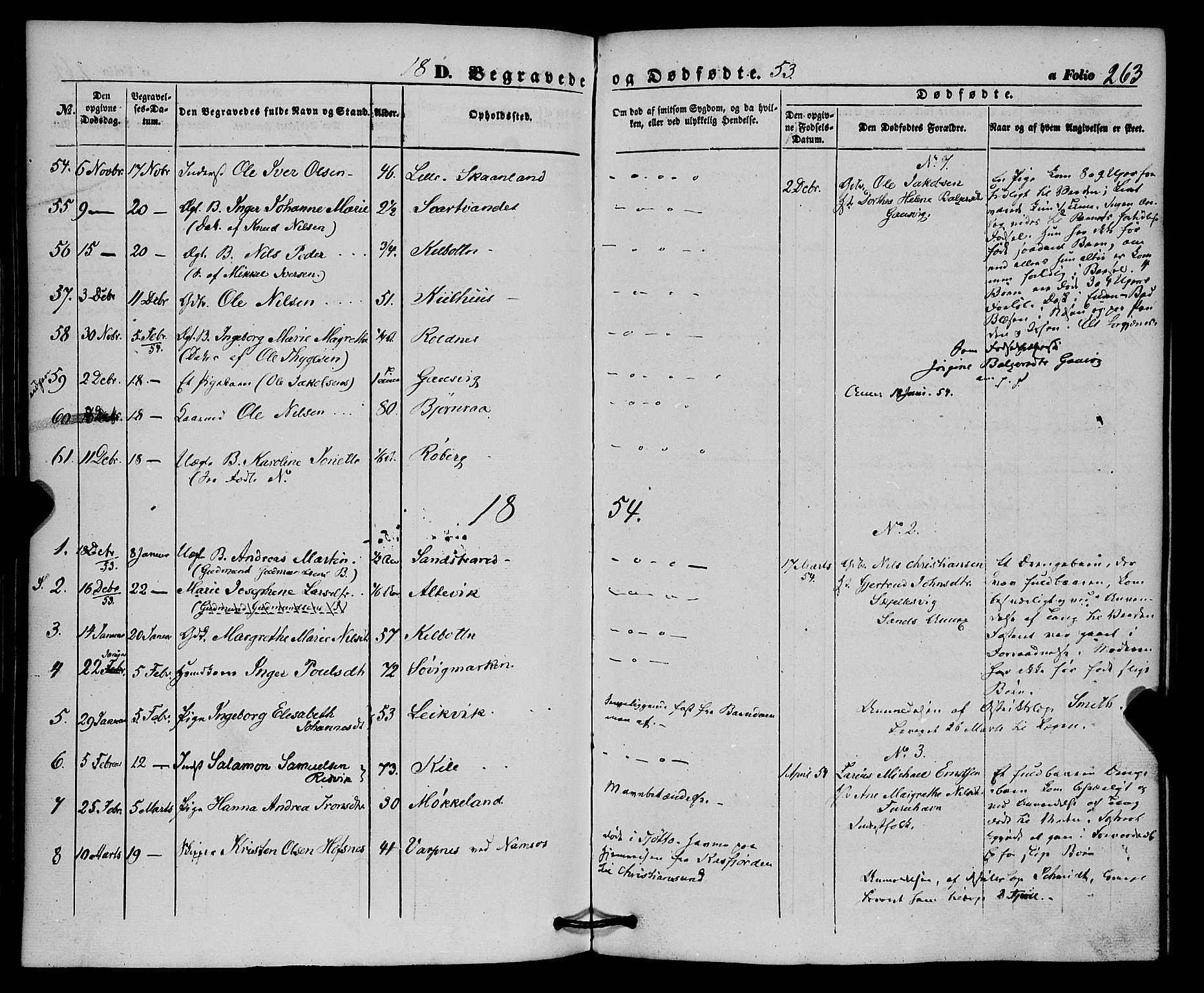 Trondenes sokneprestkontor, SATØ/S-1319/H/Ha/L0011kirke: Parish register (official) no. 11, 1853-1862, p. 263