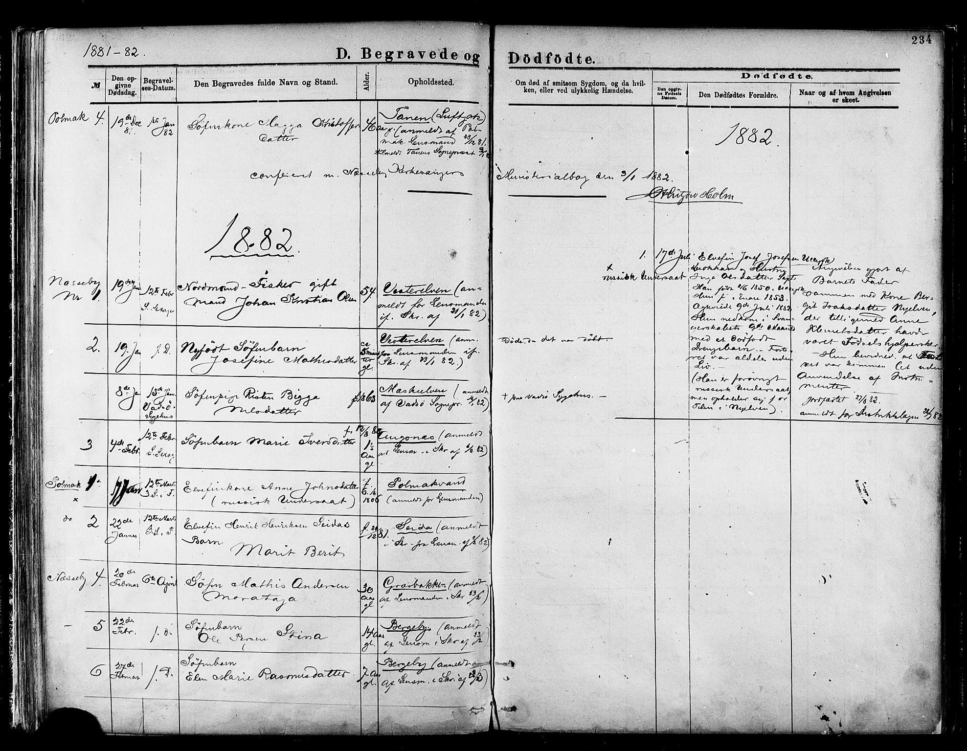 Nesseby sokneprestkontor, AV/SATØ-S-1330/H/Ha/L0004kirke: Parish register (official) no. 4, 1877-1884, p. 234