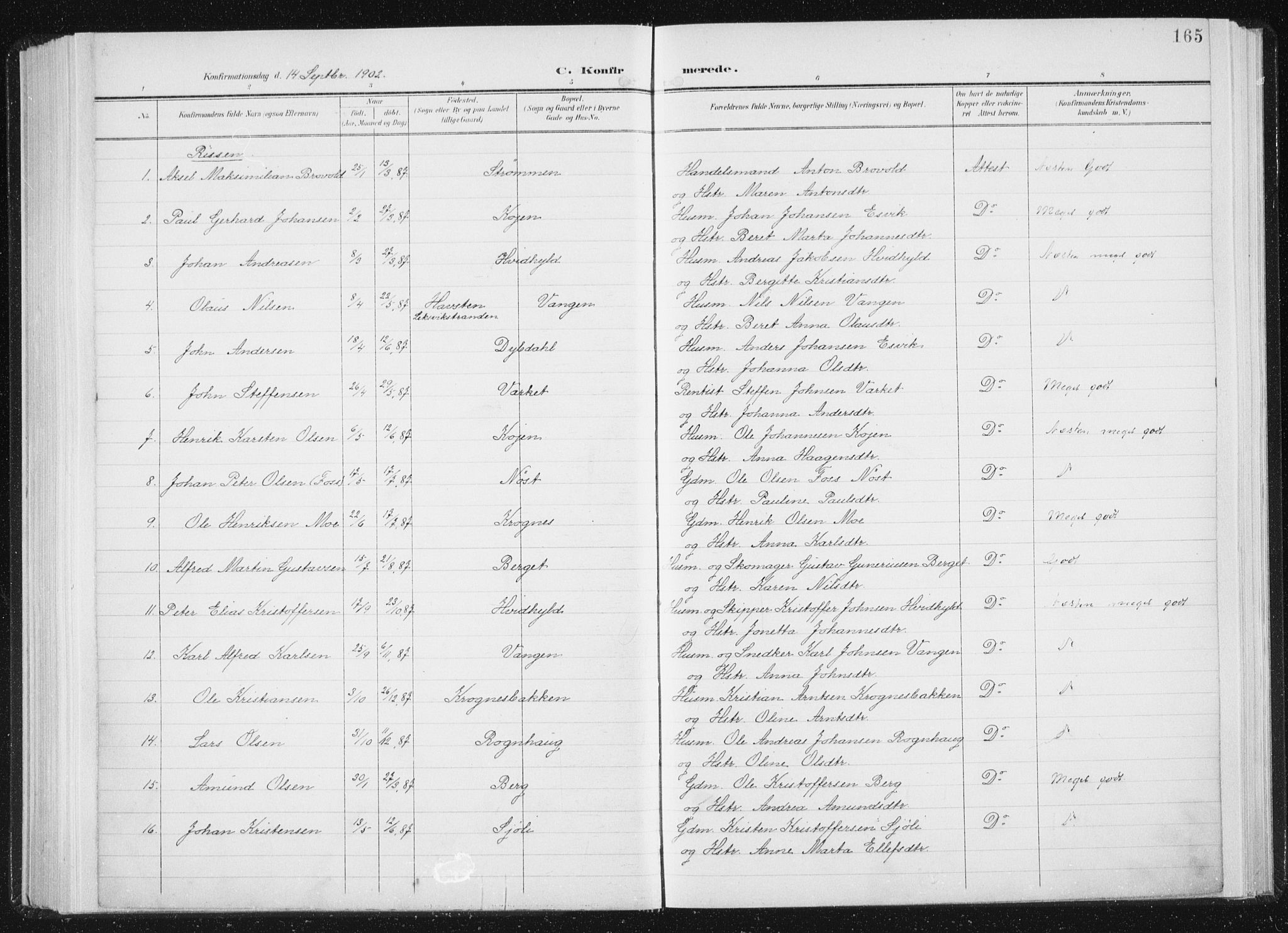 Ministerialprotokoller, klokkerbøker og fødselsregistre - Sør-Trøndelag, SAT/A-1456/647/L0635: Parish register (official) no. 647A02, 1896-1911, p. 165