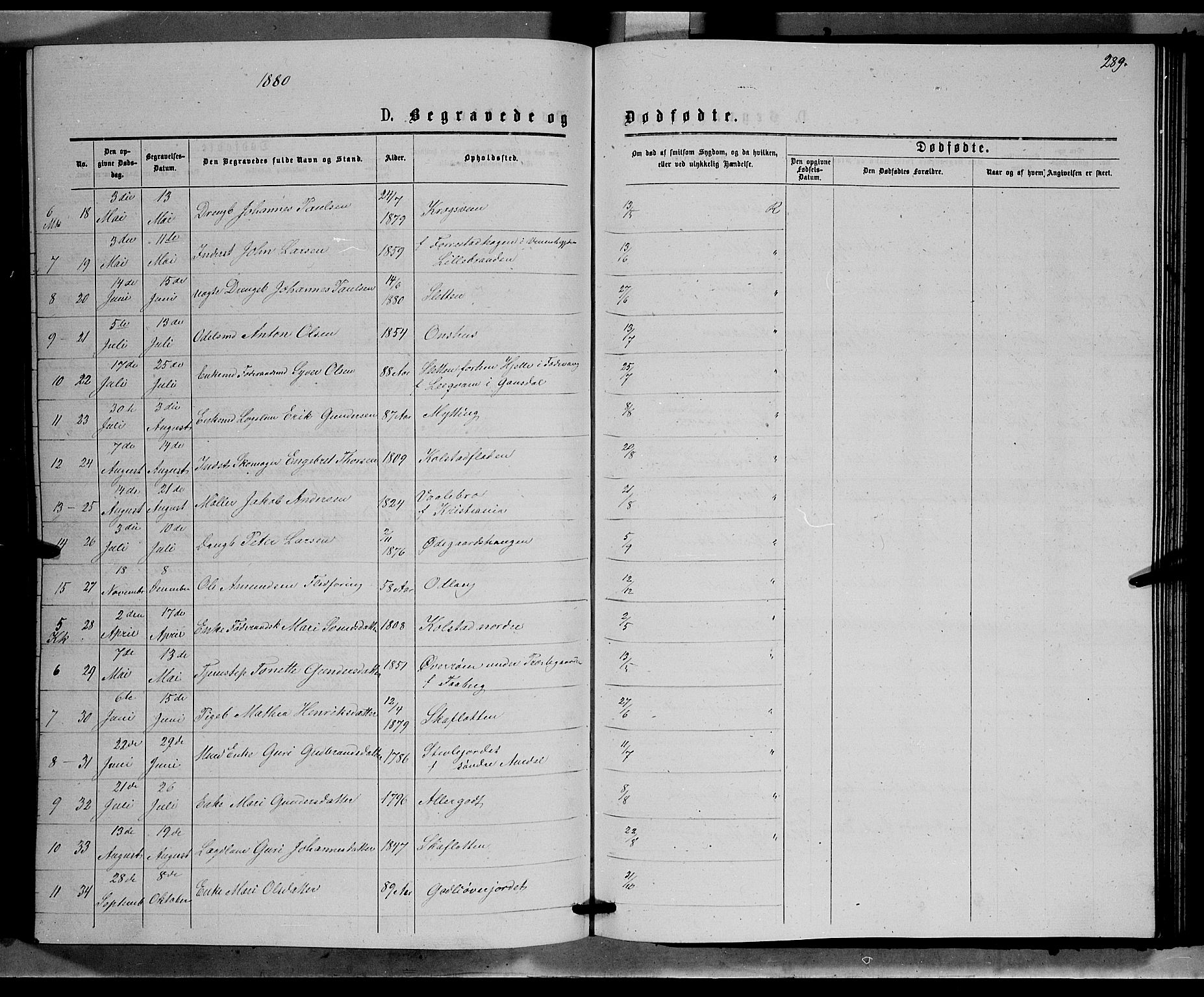 Ringebu prestekontor, AV/SAH-PREST-082/H/Ha/Hab/L0006: Parish register (copy) no. 6, 1880-1898, p. 289