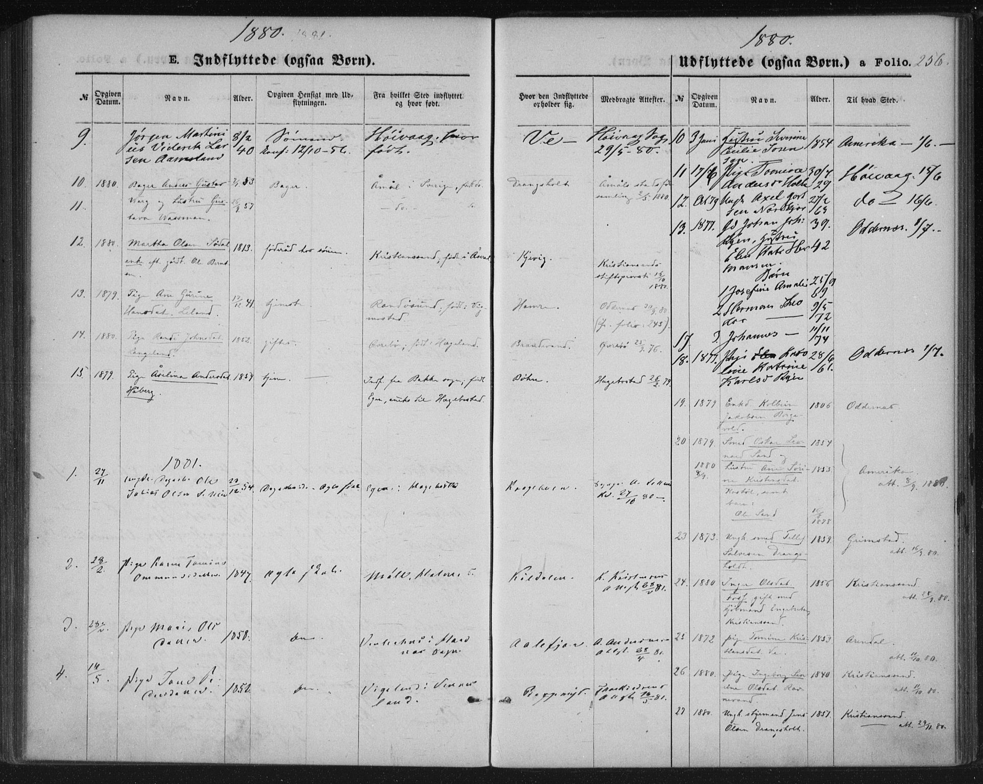 Tveit sokneprestkontor, SAK/1111-0043/F/Fa/L0006: Parish register (official) no. A 6, 1872-1886, p. 256