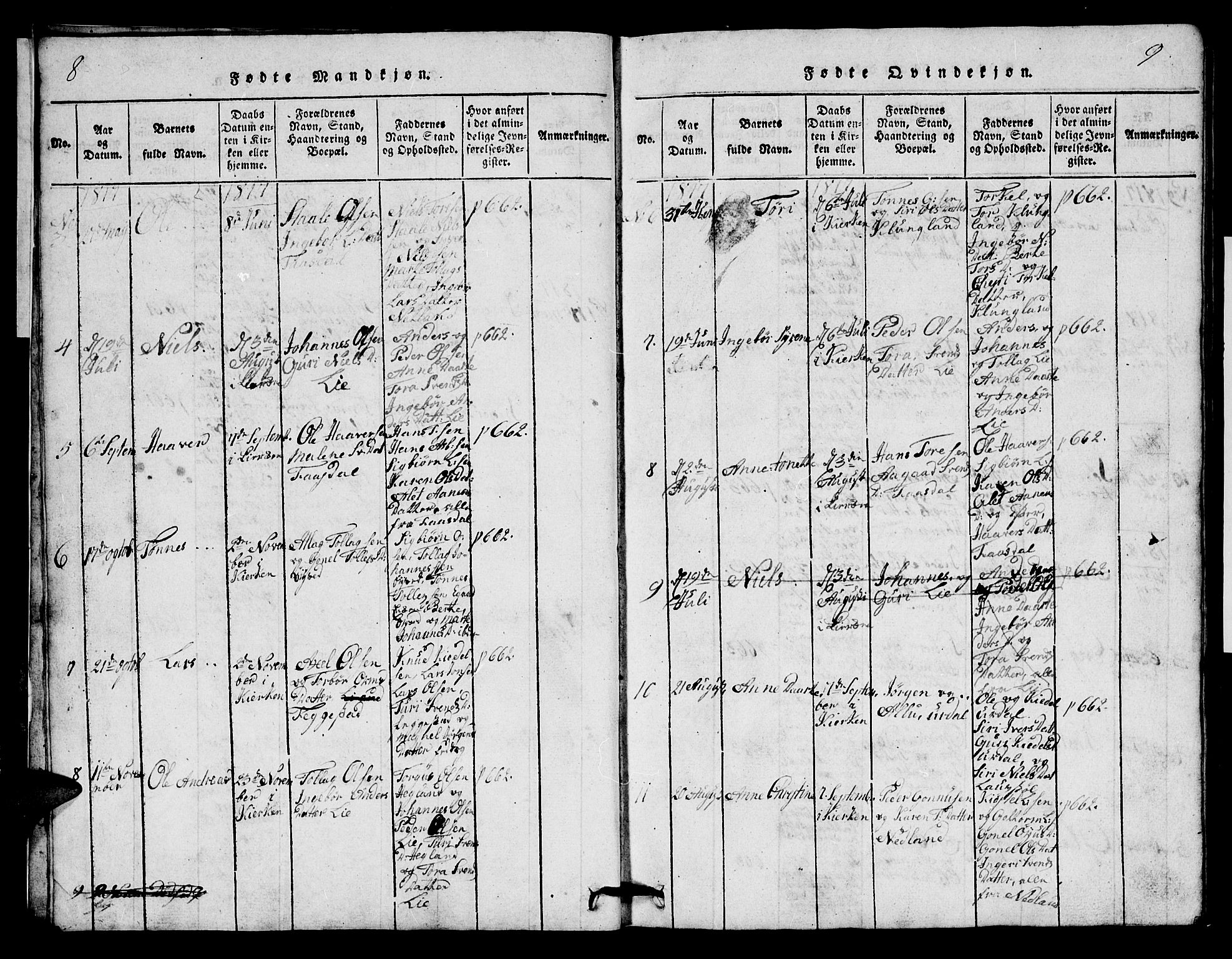 Bakke sokneprestkontor, AV/SAK-1111-0002/F/Fb/Fbb/L0001: Parish register (copy) no. B 1, 1815-1835, p. 8-9