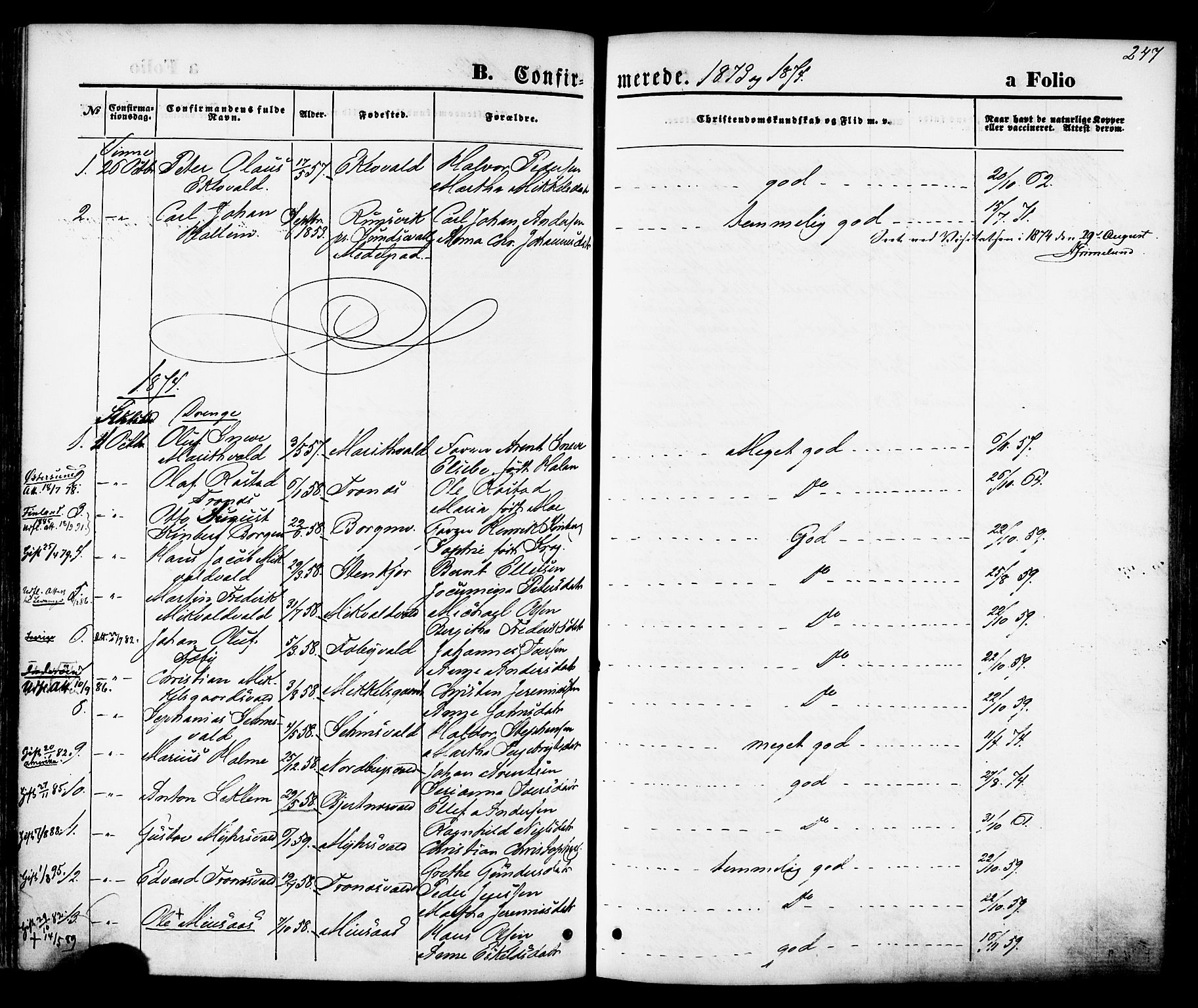 Ministerialprotokoller, klokkerbøker og fødselsregistre - Nord-Trøndelag, SAT/A-1458/723/L0242: Parish register (official) no. 723A11, 1870-1880, p. 247