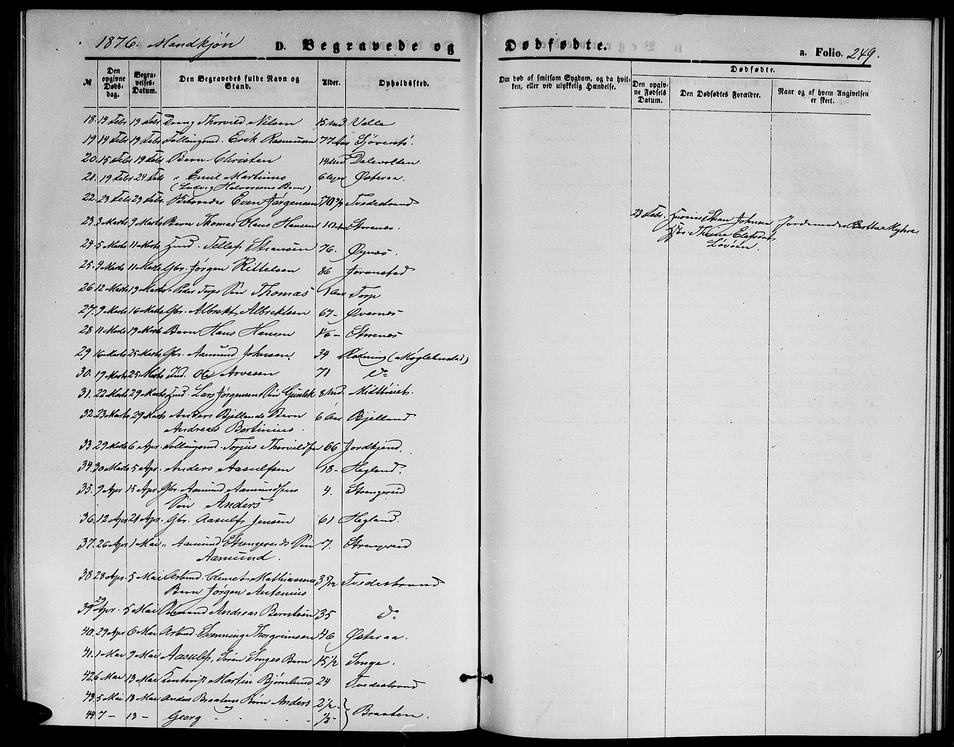 Holt sokneprestkontor, AV/SAK-1111-0021/F/Fb/L0009: Parish register (copy) no. B 9, 1871-1883, p. 249