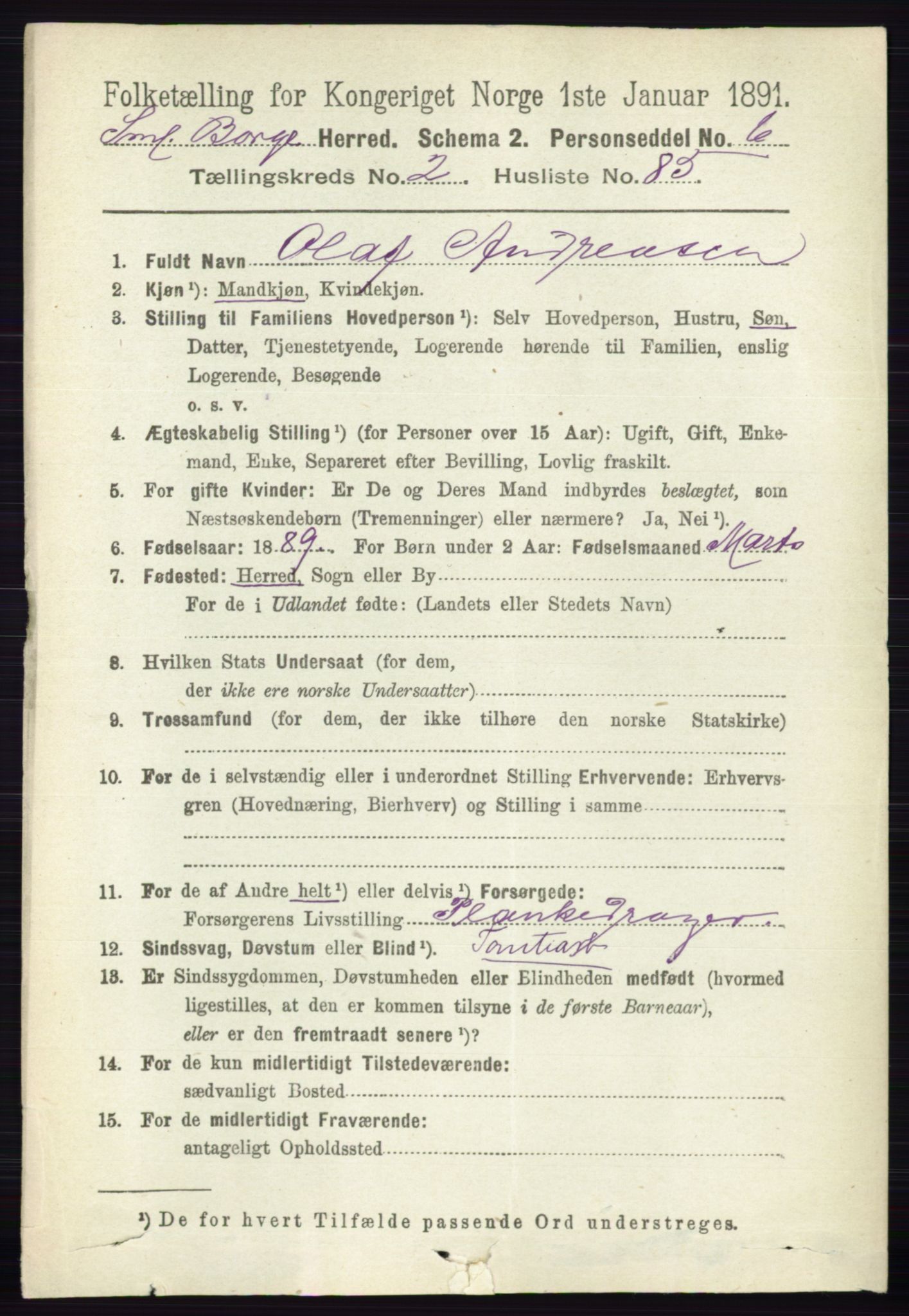 RA, 1891 census for 0113 Borge, 1891, p. 1348