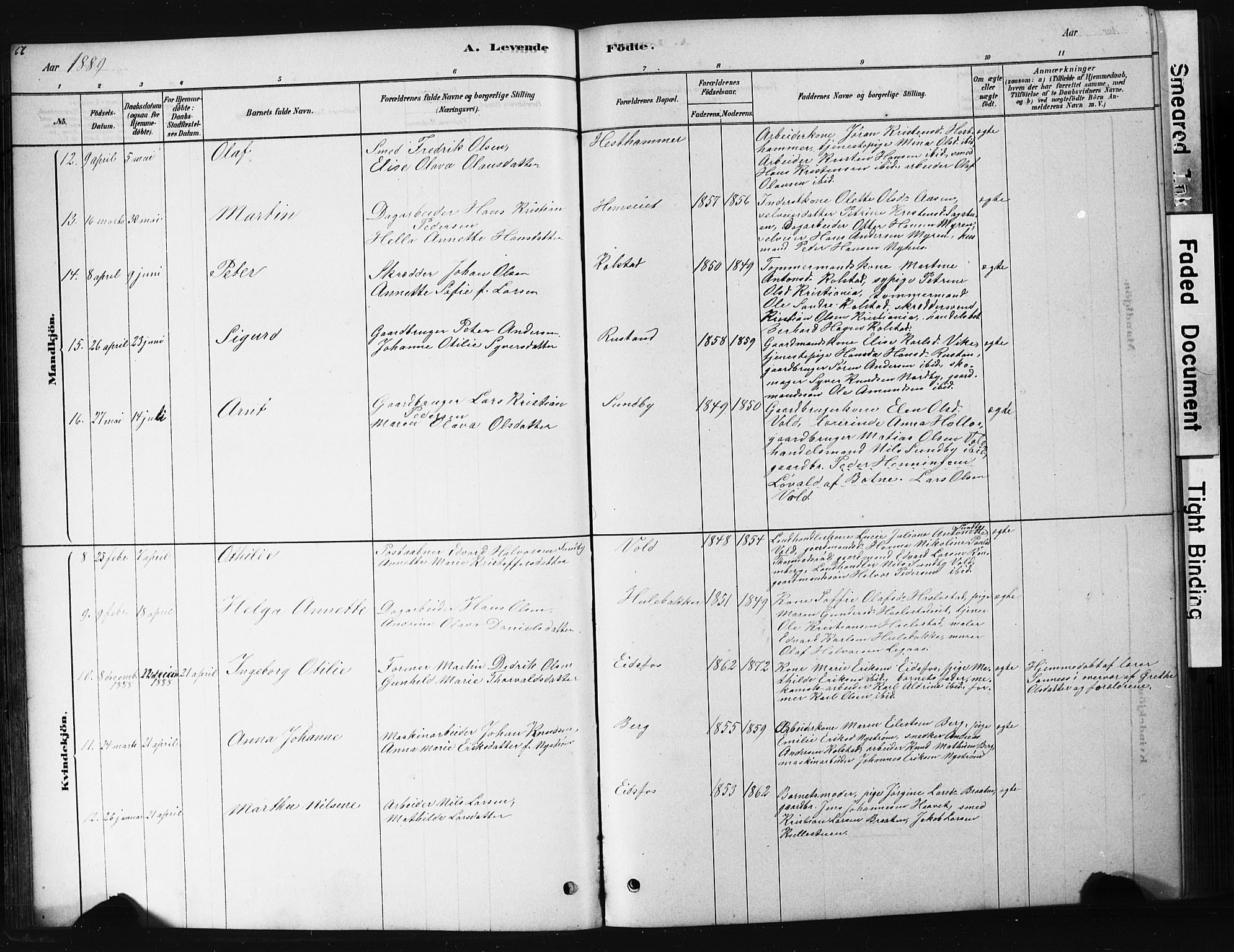 Hof kirkebøker, AV/SAKO-A-64/G/Ga/L0004: Parish register (copy) no. I 4, 1878-1930, p. 67