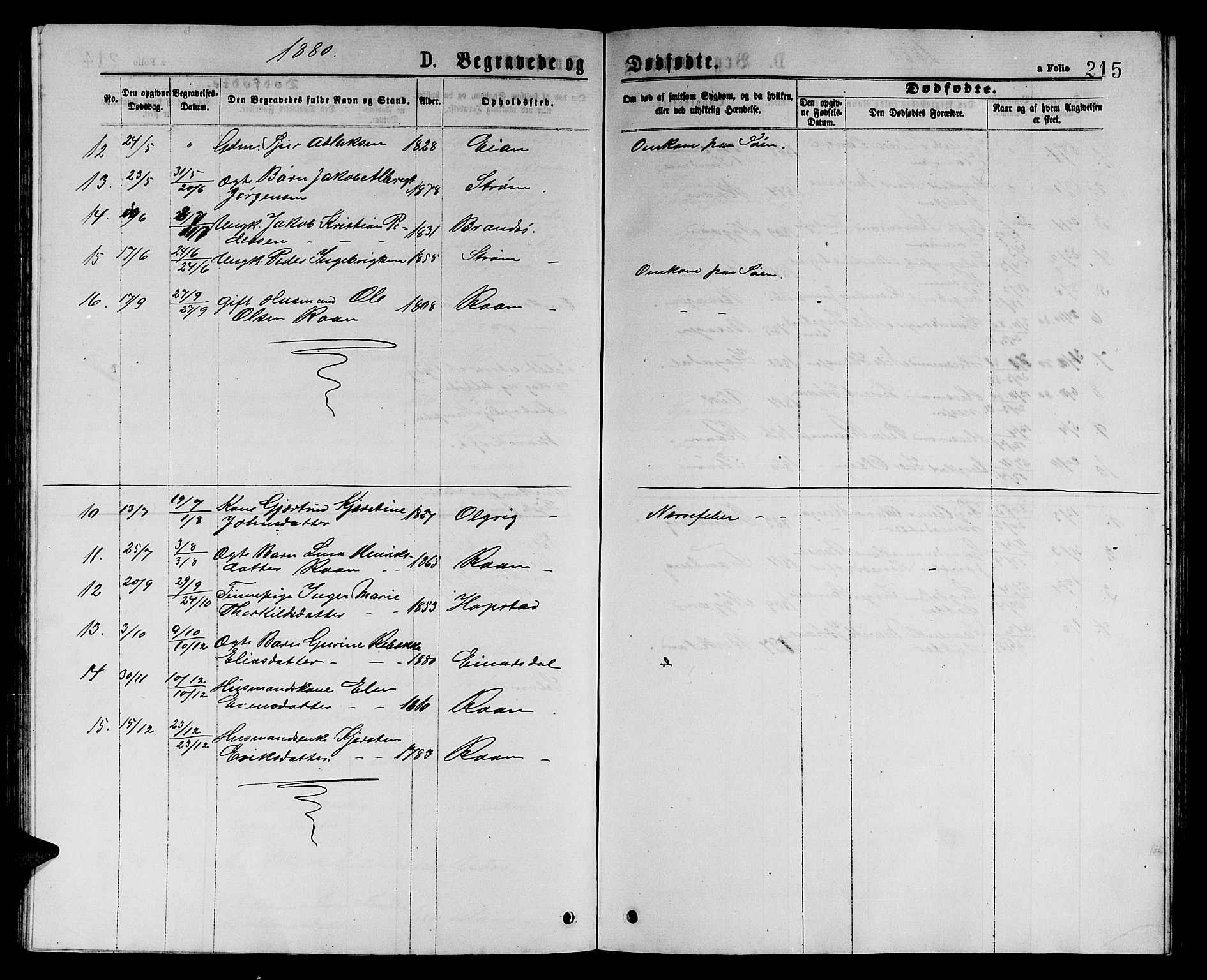 Ministerialprotokoller, klokkerbøker og fødselsregistre - Sør-Trøndelag, SAT/A-1456/657/L0715: Parish register (copy) no. 657C02, 1873-1888, p. 215