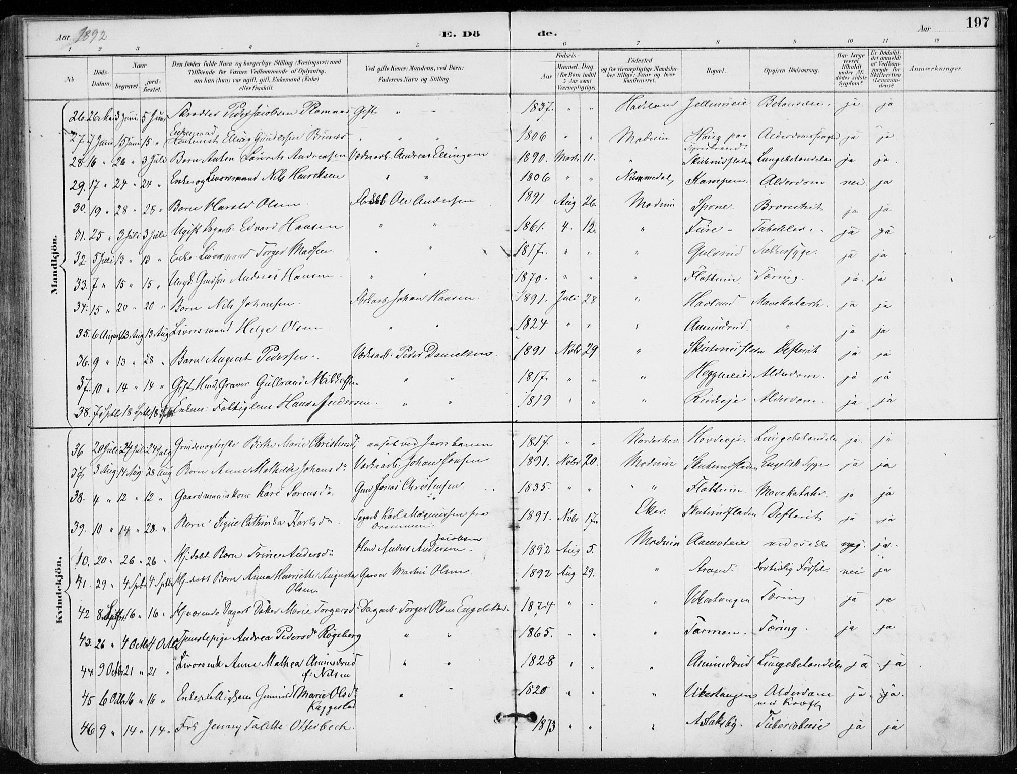 Modum kirkebøker, AV/SAKO-A-234/F/Fa/L0012: Parish register (official) no. 12, 1890-1898, p. 197