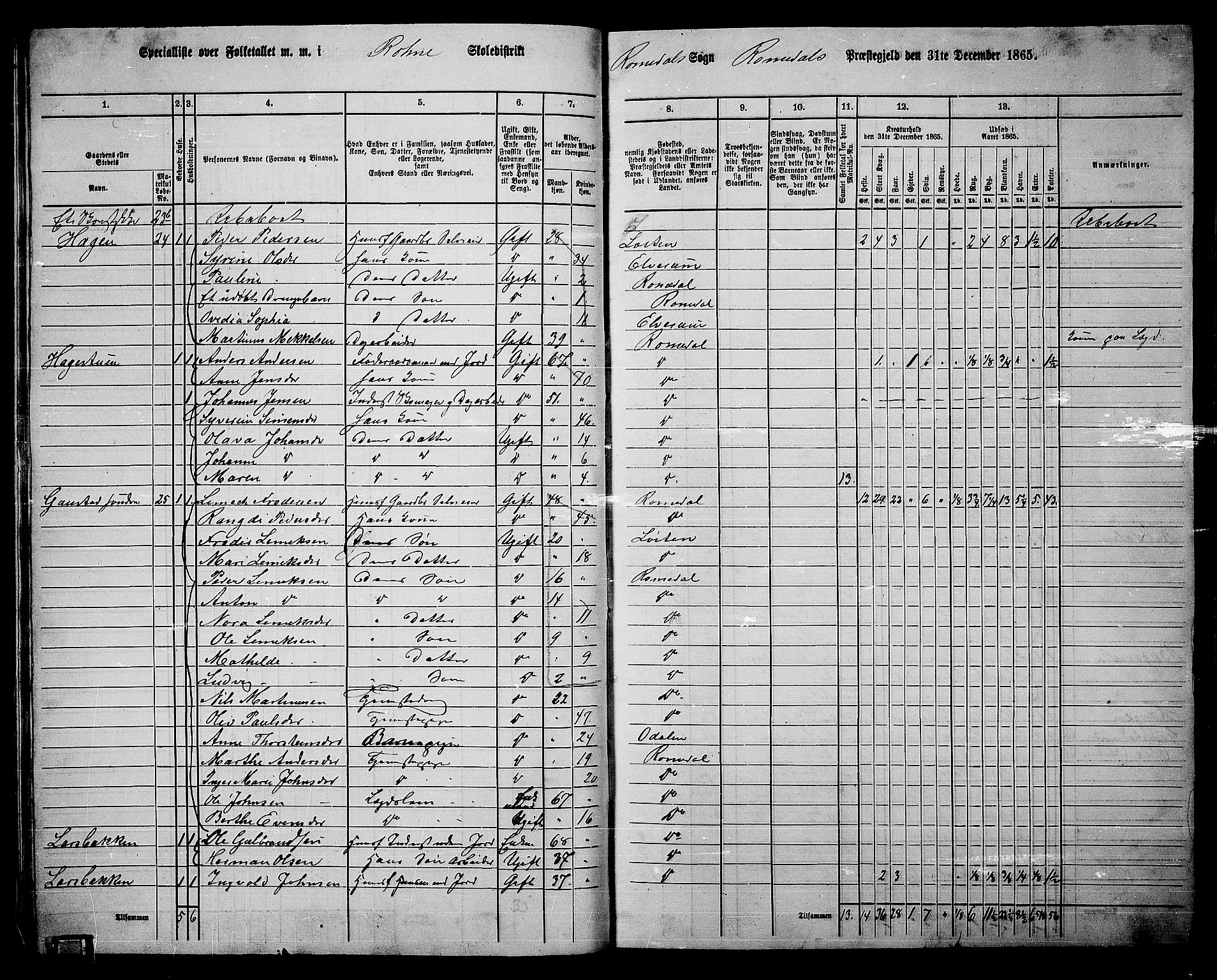 RA, 1865 census for Romedal, 1865, p. 53