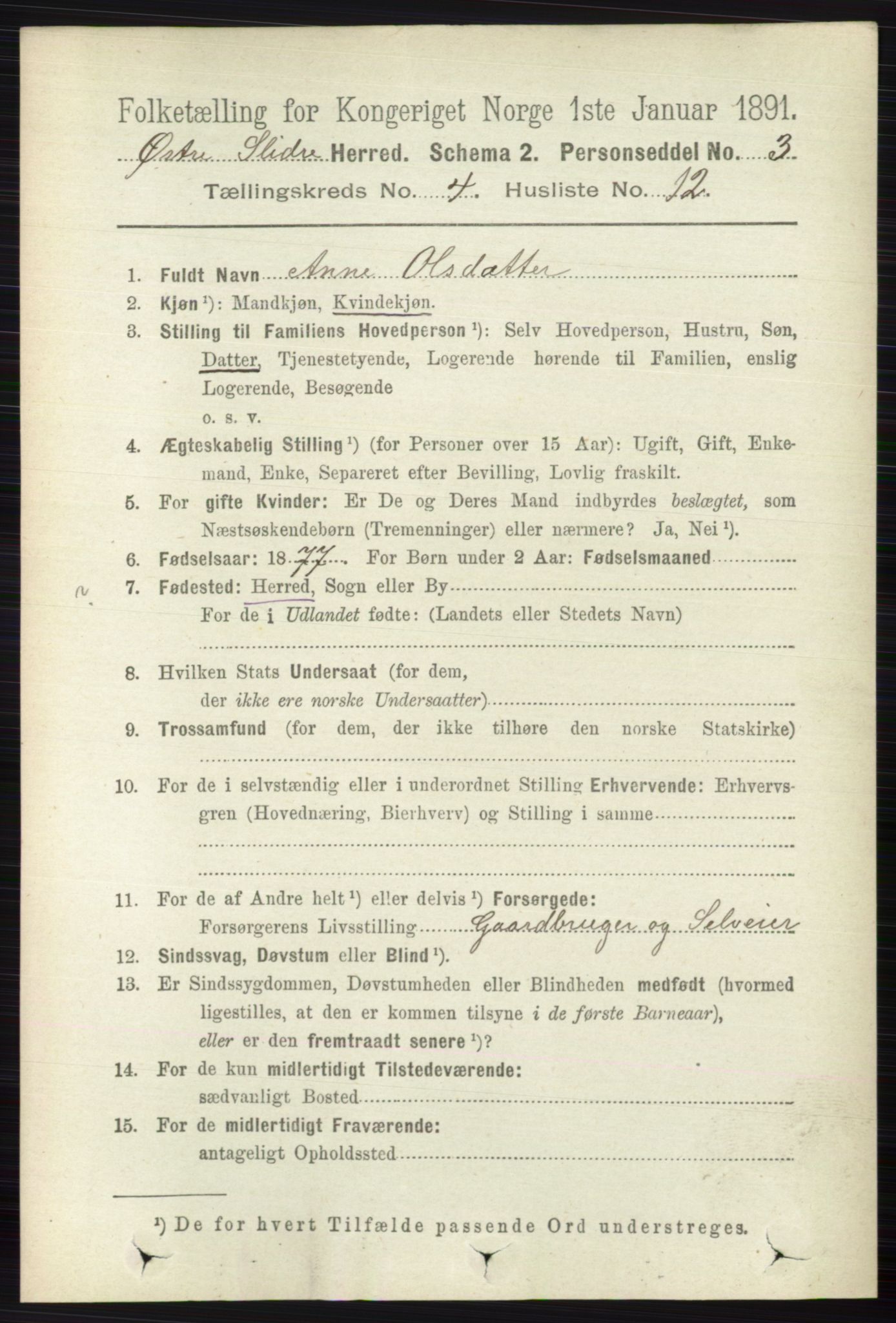 RA, 1891 census for 0544 Øystre Slidre, 1891, p. 1256