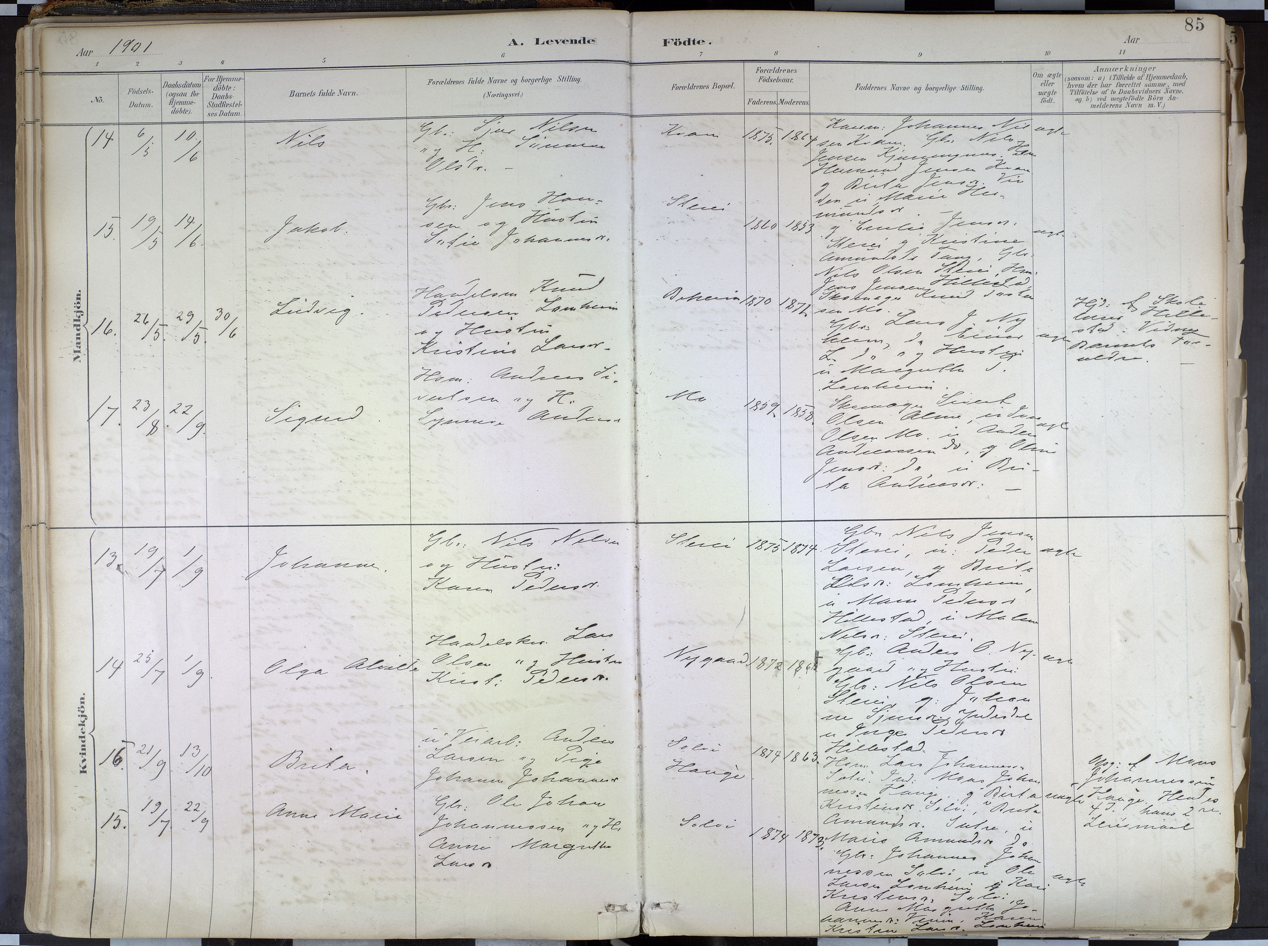 Hafslo sokneprestembete, AV/SAB-A-80301/H/Haa/Haab/L0001: Parish register (official) no. B 1, 1886-1945, p. 85