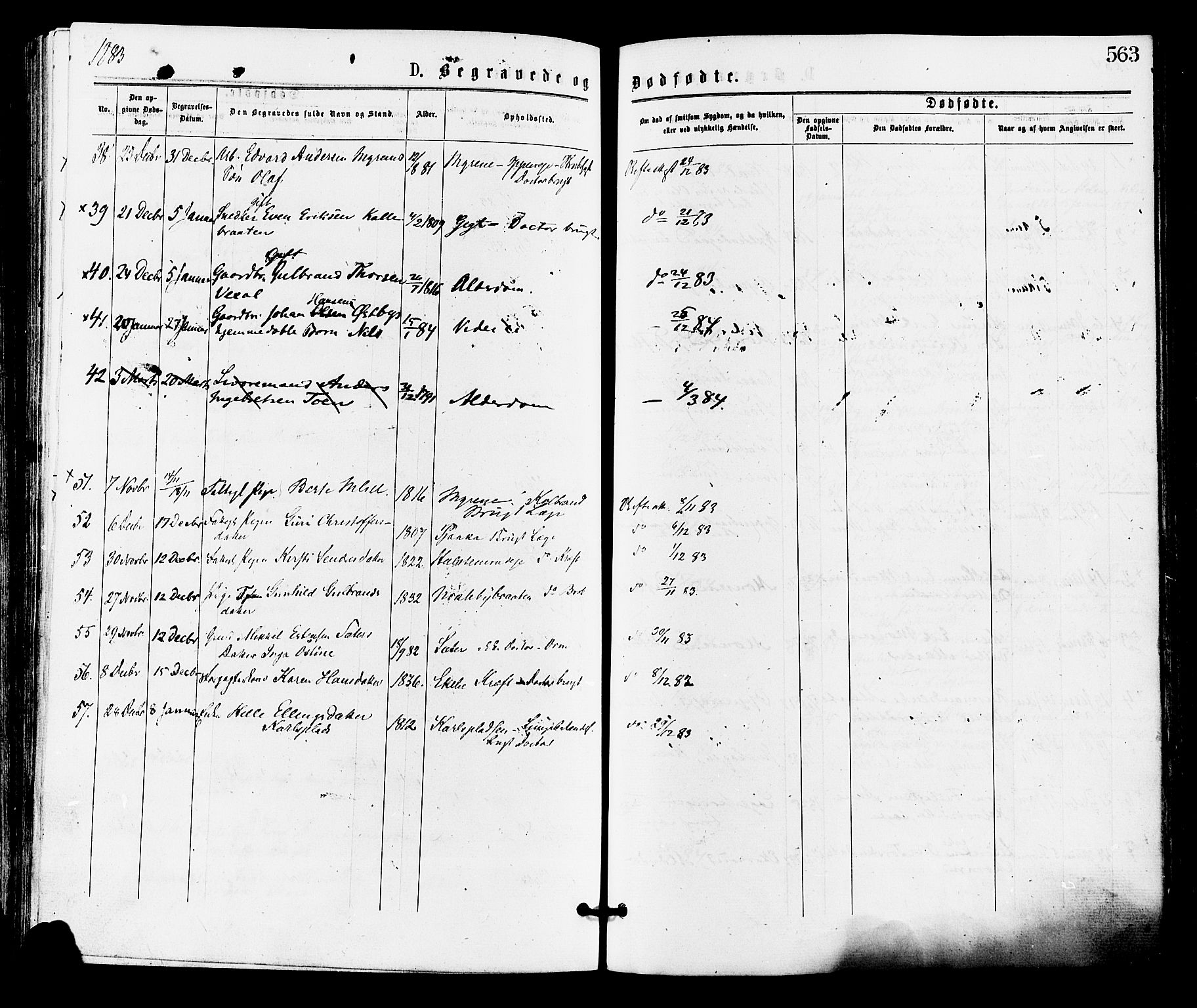 Norderhov kirkebøker, AV/SAKO-A-237/F/Fa/L0015: Parish register (official) no. 15, 1875-1884, p. 563