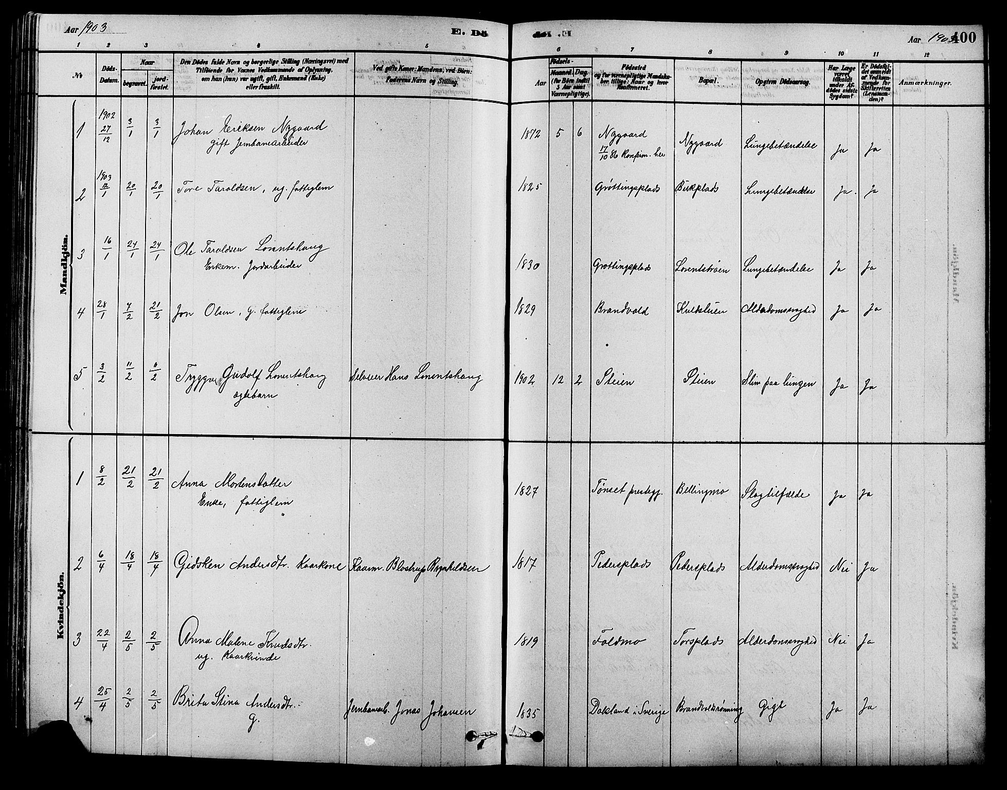 Alvdal prestekontor, SAH/PREST-060/H/Ha/Hab/L0003: Parish register (copy) no. 3, 1878-1907, p. 400