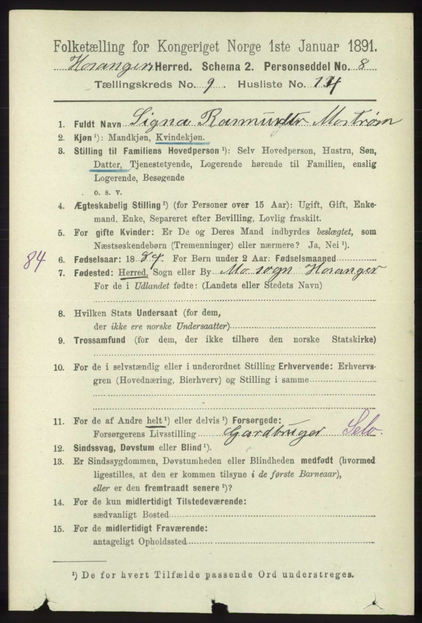 RA, 1891 census for 1253 Hosanger, 1891, p. 3379