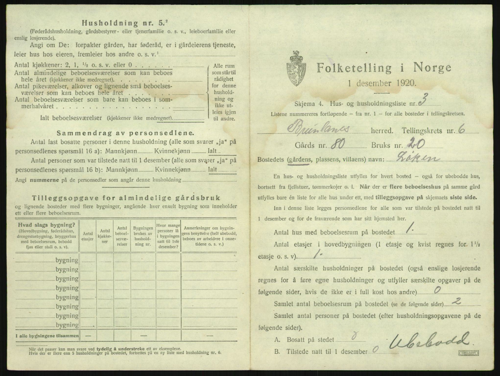 SAKO, 1920 census for Brunlanes, 1920, p. 869