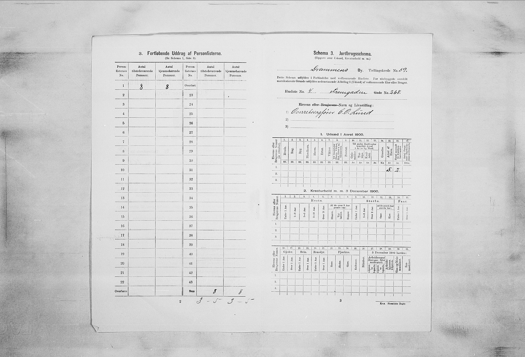 RA, 1900 census for Drammen, 1900, p. 13857