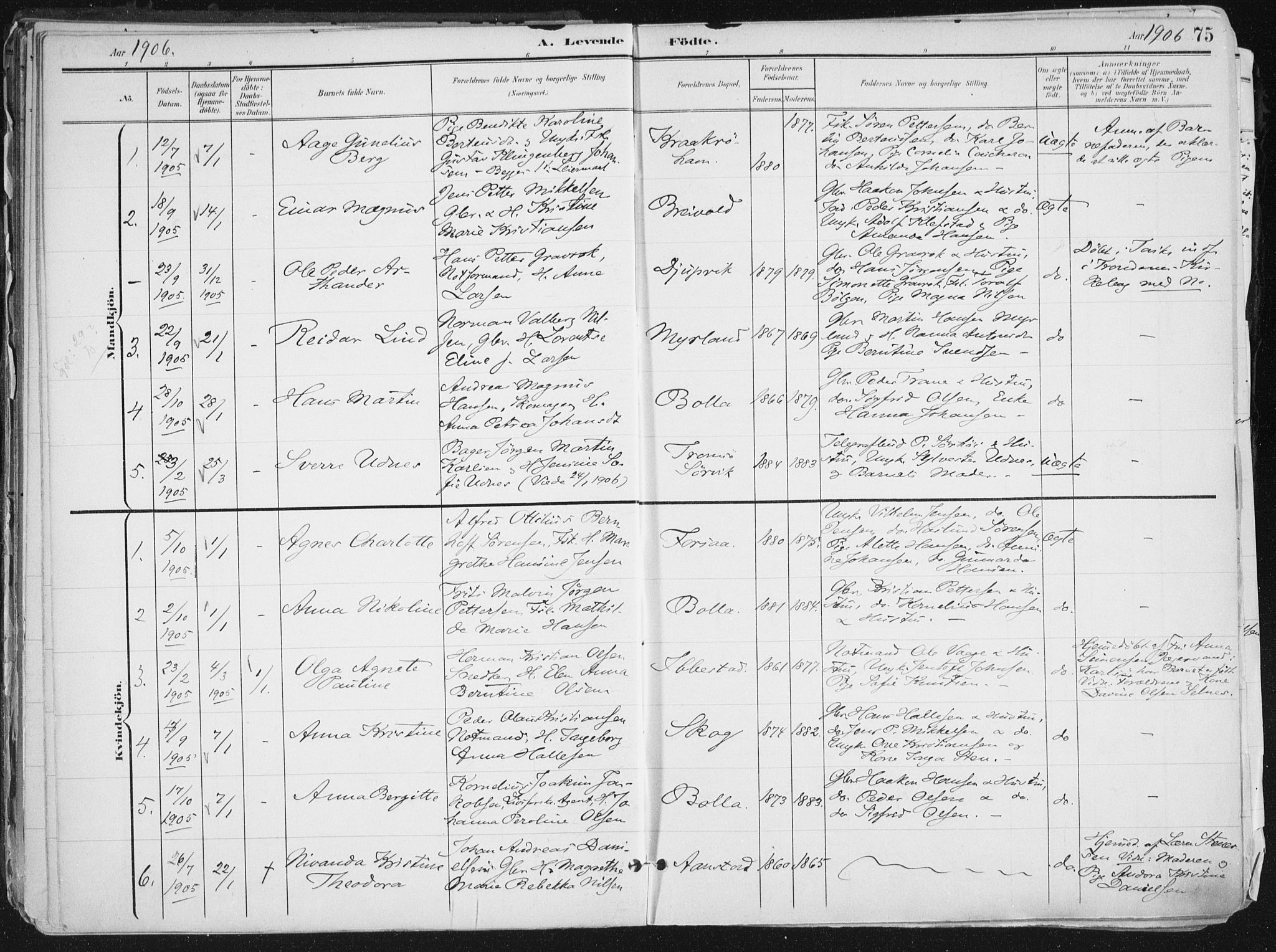 Ibestad sokneprestembete, SATØ/S-0077/H/Ha/Haa/L0017kirke: Parish register (official) no. 17, 1901-1914, p. 75