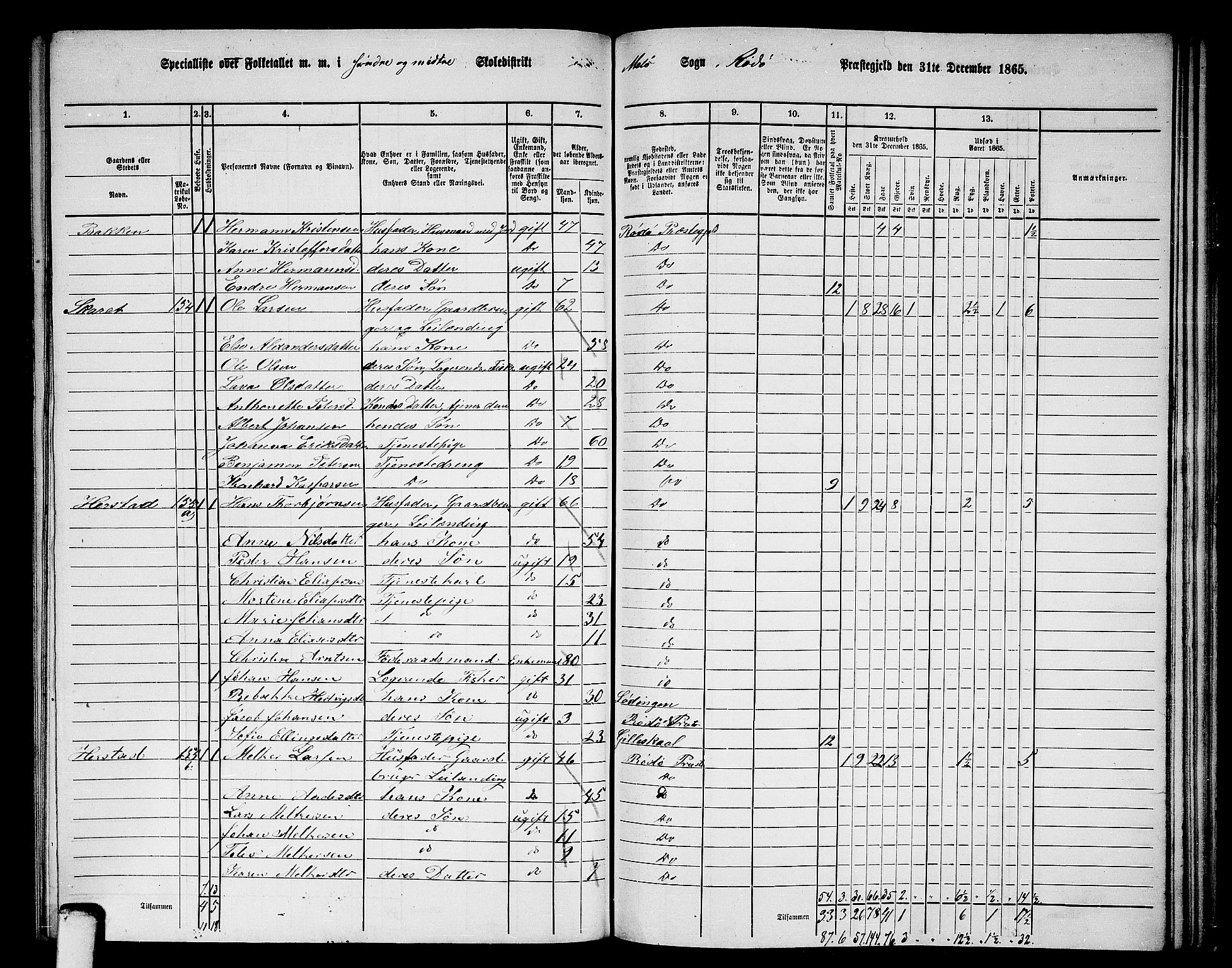 RA, 1865 census for Rødøy, 1865, p. 96