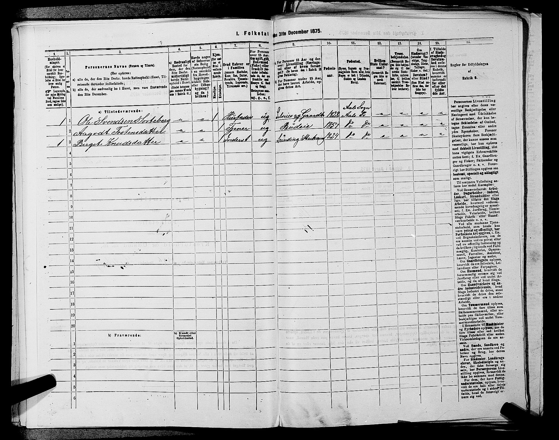 SAKO, 1875 census for 0619P Ål, 1875, p. 801
