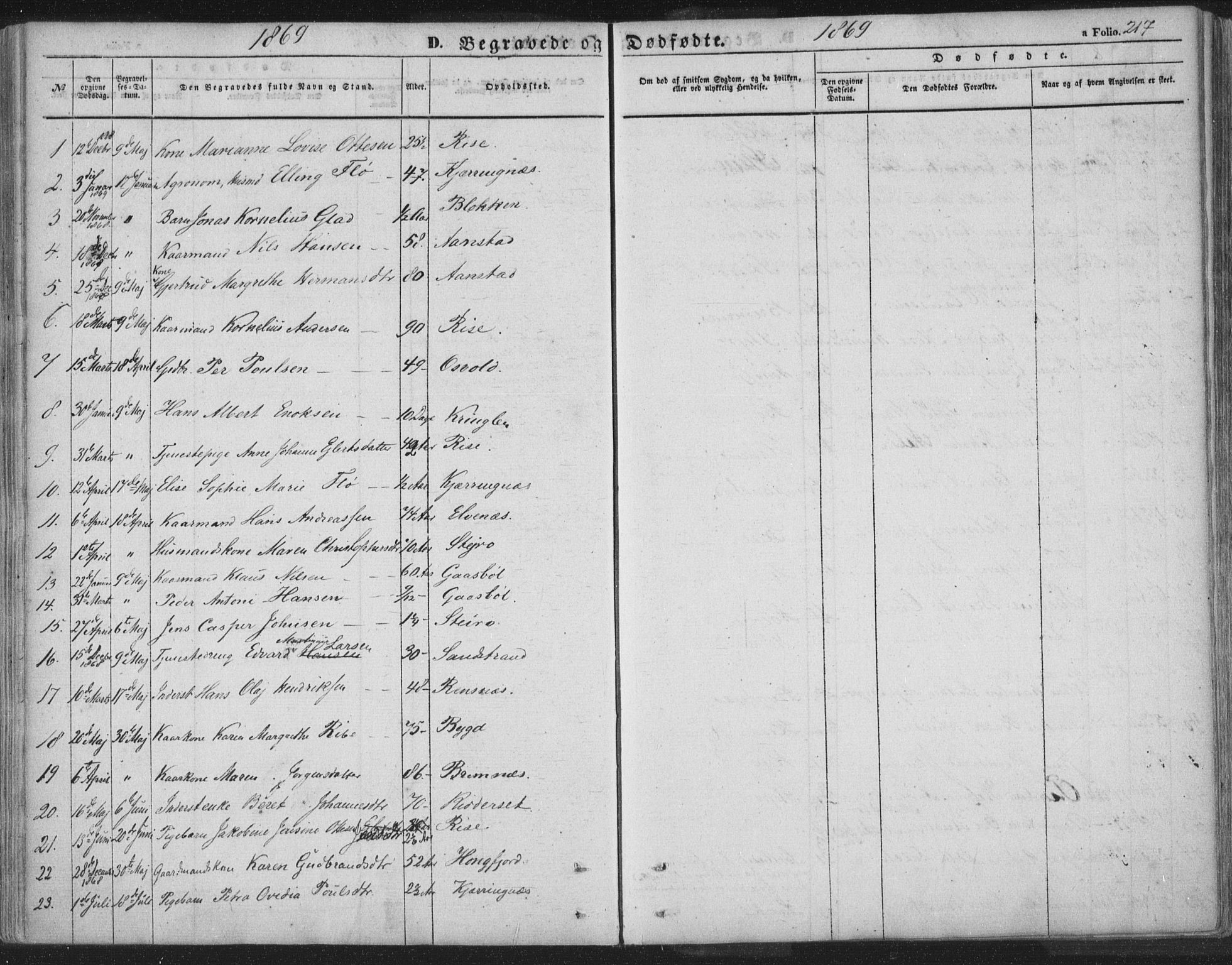 Ministerialprotokoller, klokkerbøker og fødselsregistre - Nordland, AV/SAT-A-1459/895/L1369: Parish register (official) no. 895A04, 1852-1872, p. 217