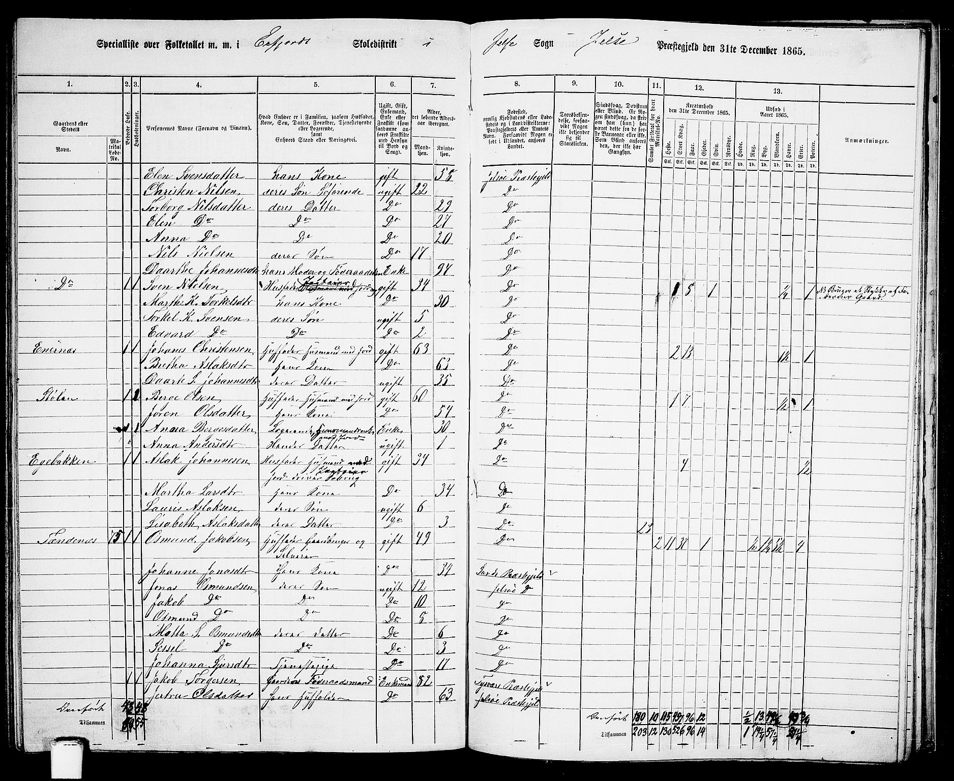 RA, 1865 census for Jelsa, 1865, p. 103