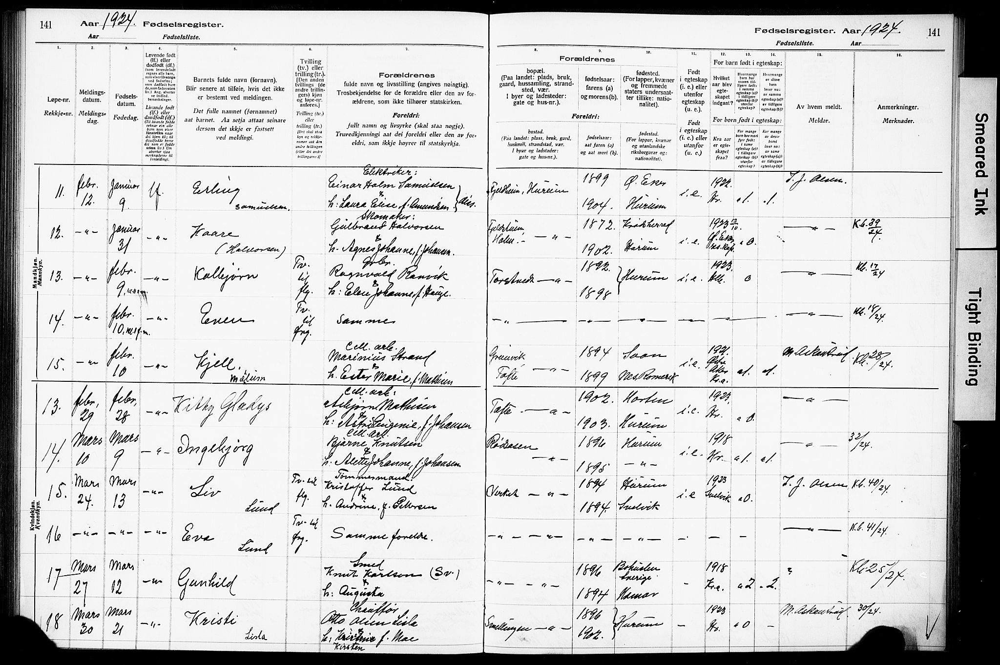 Hurum kirkebøker, AV/SAKO-A-229/J/Ja/L0001: Birth register no. 1, 1916-1928, p. 141