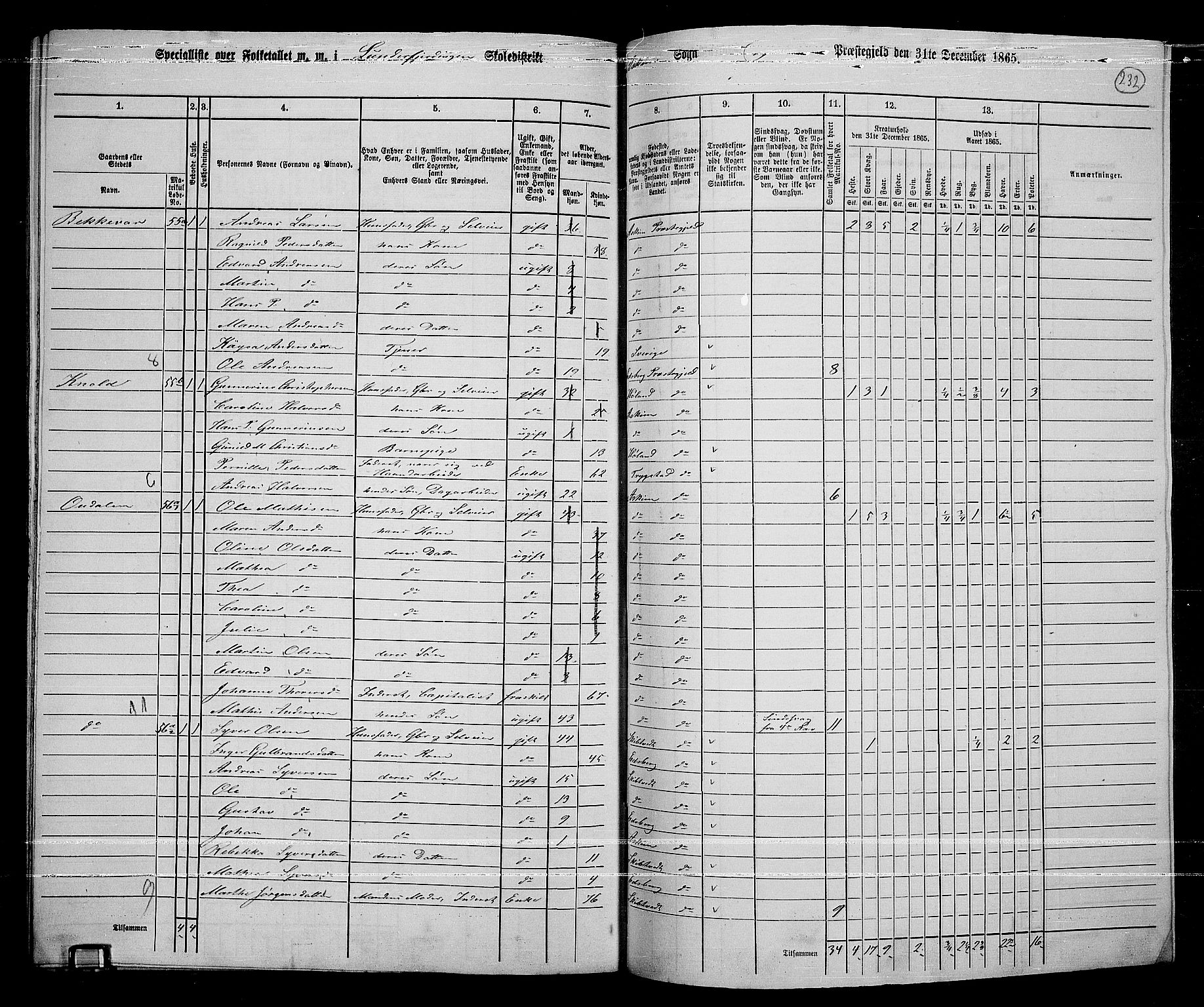 RA, 1865 census for Askim, 1865, p. 89