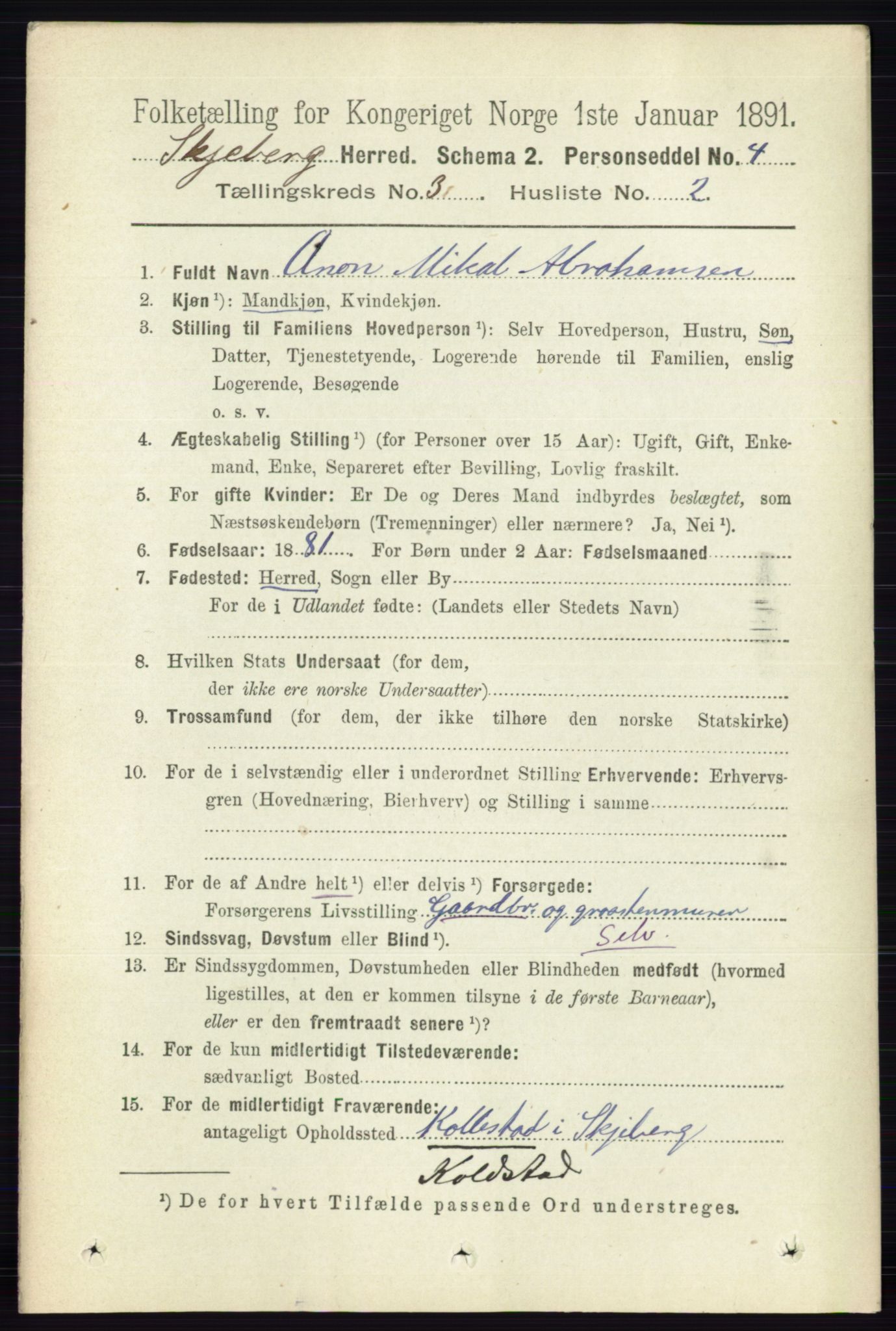 RA, 1891 census for 0115 Skjeberg, 1891, p. 1495