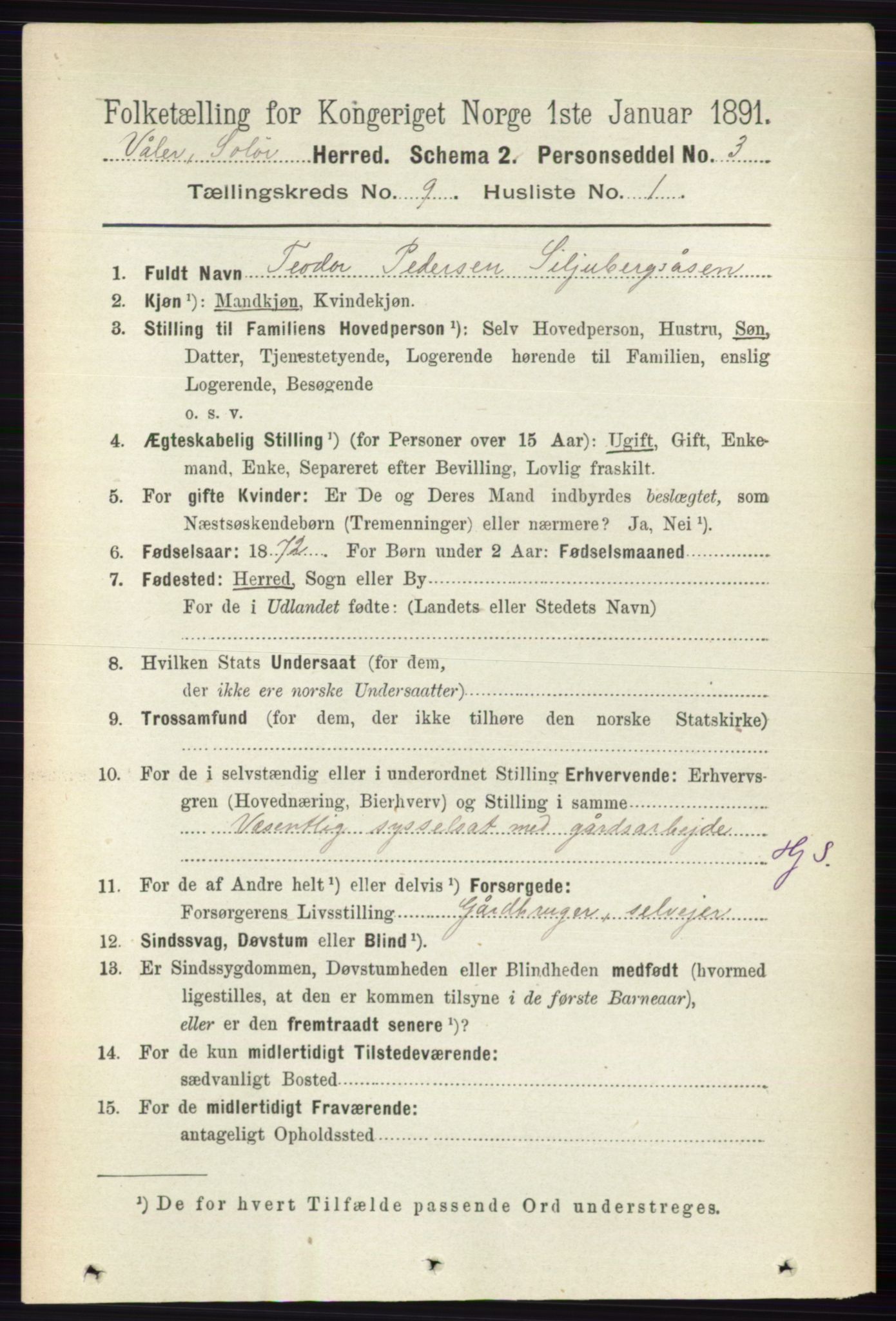 RA, 1891 census for 0426 Våler, 1891, p. 3856