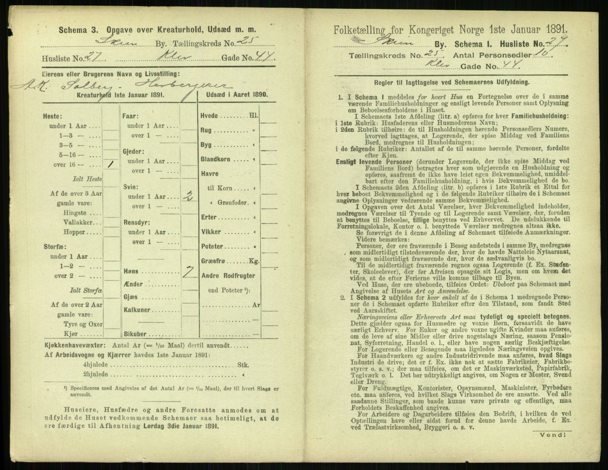 RA, 1891 census for 0806 Skien, 1891, p. 972