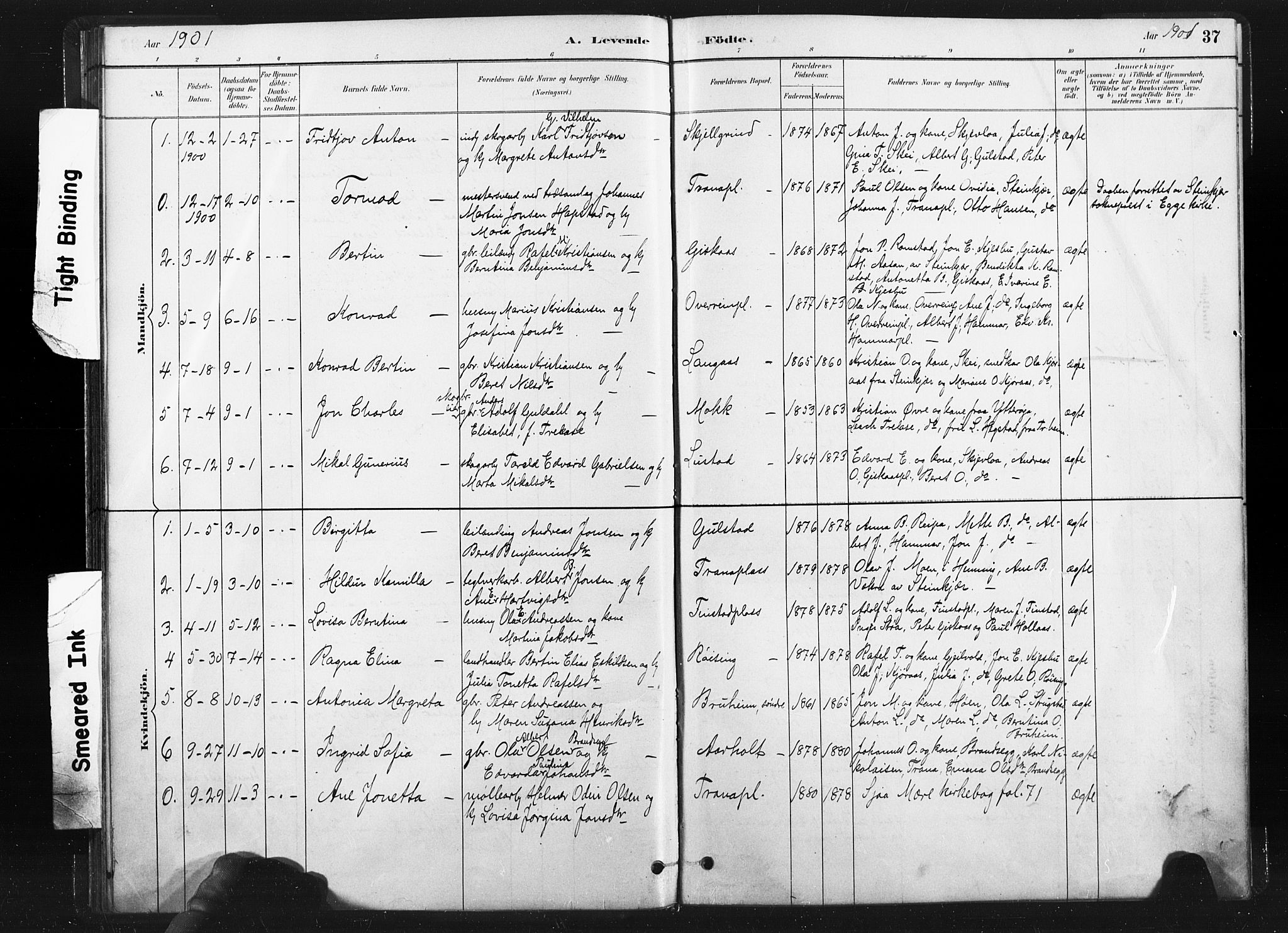 Ministerialprotokoller, klokkerbøker og fødselsregistre - Nord-Trøndelag, SAT/A-1458/736/L0361: Parish register (official) no. 736A01, 1884-1906, p. 37
