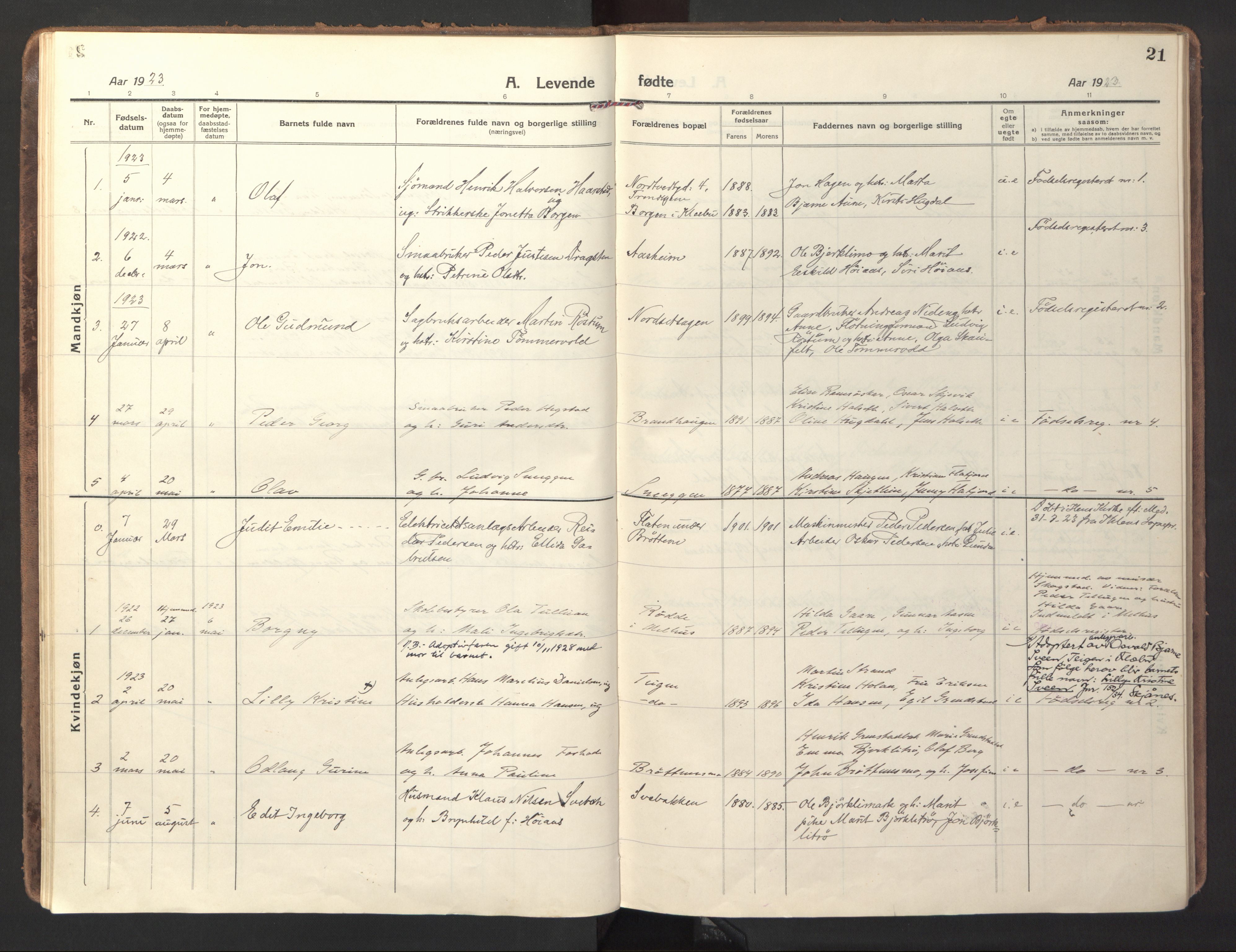 Ministerialprotokoller, klokkerbøker og fødselsregistre - Sør-Trøndelag, SAT/A-1456/618/L0449: Parish register (official) no. 618A12, 1917-1924, p. 21