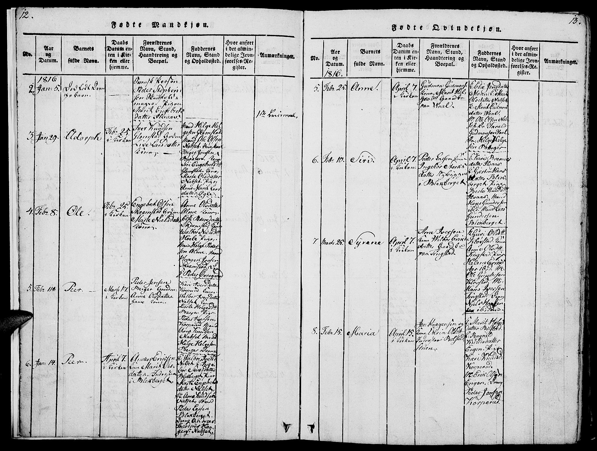 Åmot prestekontor, Hedmark, AV/SAH-PREST-056/H/Ha/Hab/L0001: Parish register (copy) no. 1, 1815-1847, p. 12-13