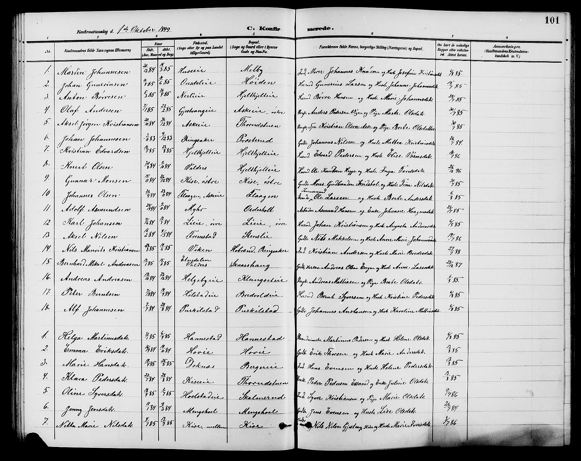 Nes prestekontor, Hedmark, AV/SAH-PREST-020/L/La/L0007: Parish register (copy) no. 7, 1892-1912, p. 101