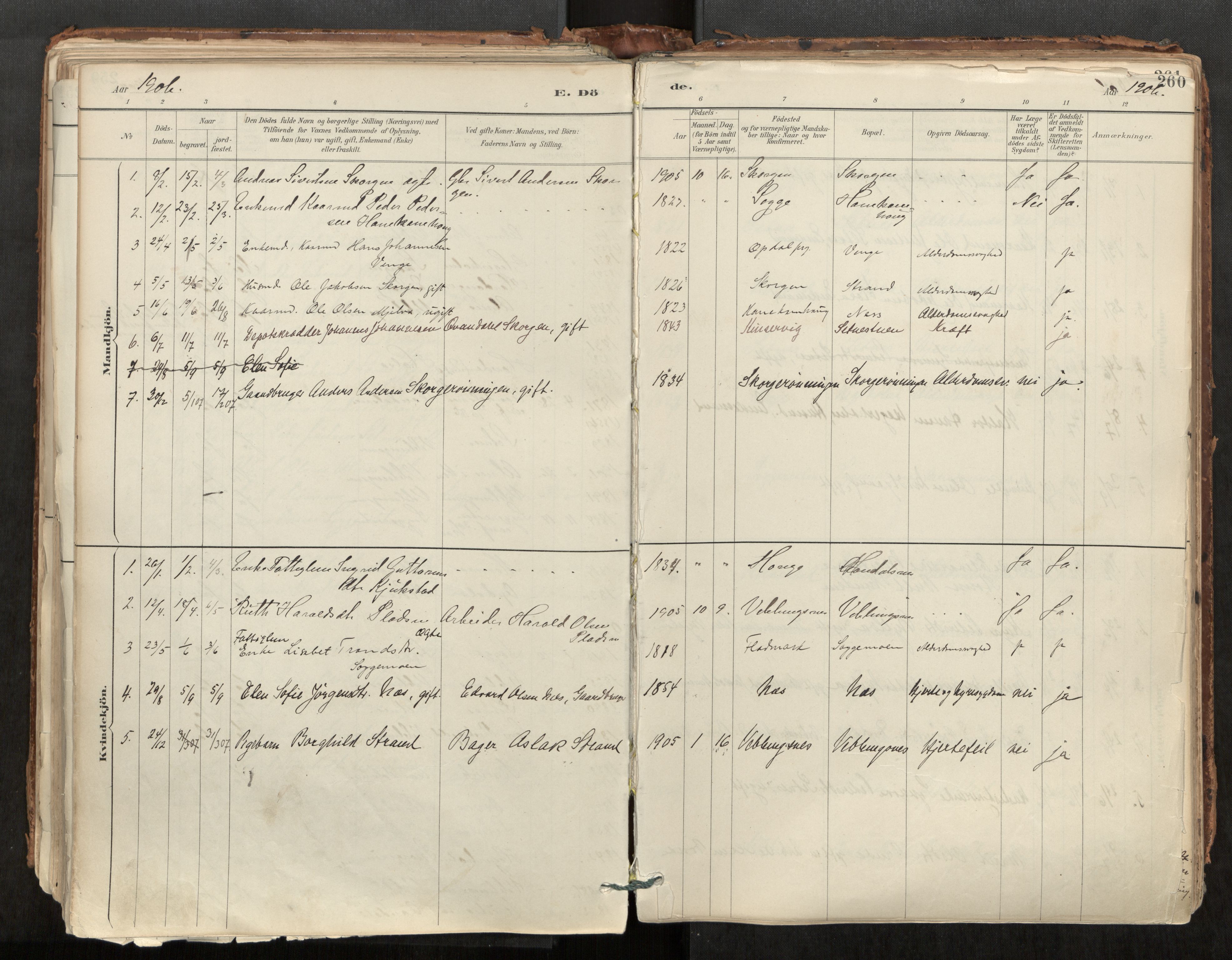 Ministerialprotokoller, klokkerbøker og fødselsregistre - Møre og Romsdal, AV/SAT-A-1454/544/L0585: Parish register (official) no. 544A06, 1887-1924, p. 260