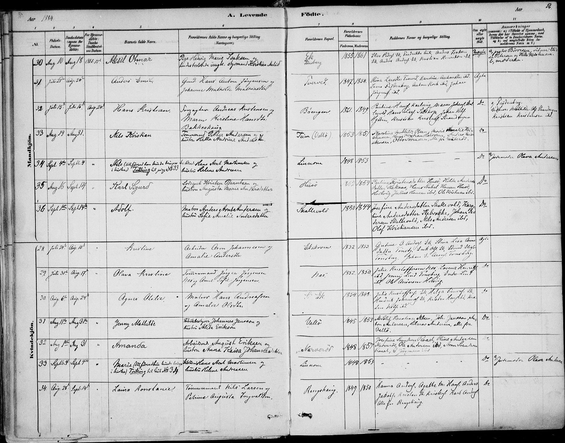 Sem kirkebøker, AV/SAKO-A-5/F/Fb/L0004: Parish register (official) no. II 4, 1878-1891, p. 56