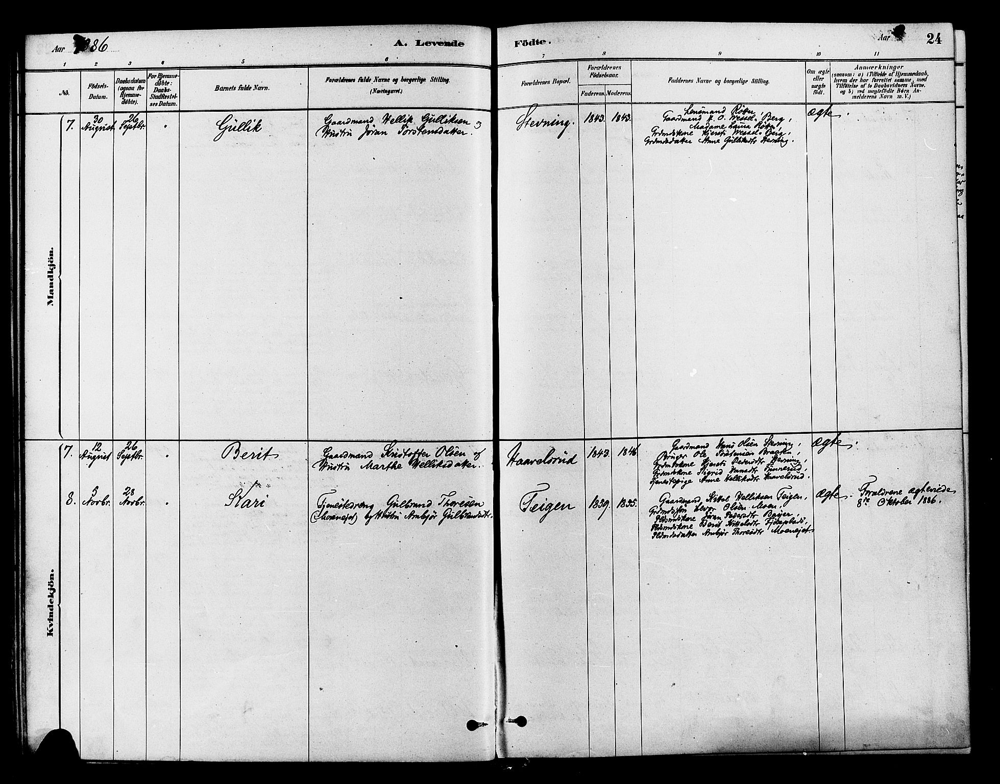 Flesberg kirkebøker, AV/SAKO-A-18/F/Fb/L0001: Parish register (official) no. II 1, 1879-1907, p. 24