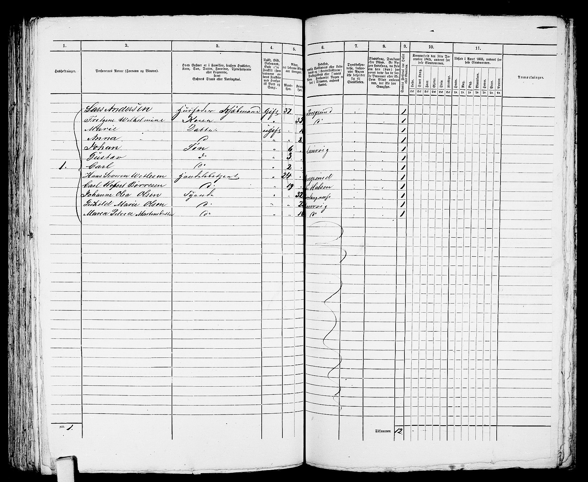 RA, 1865 census for Larvik, 1865, p. 460